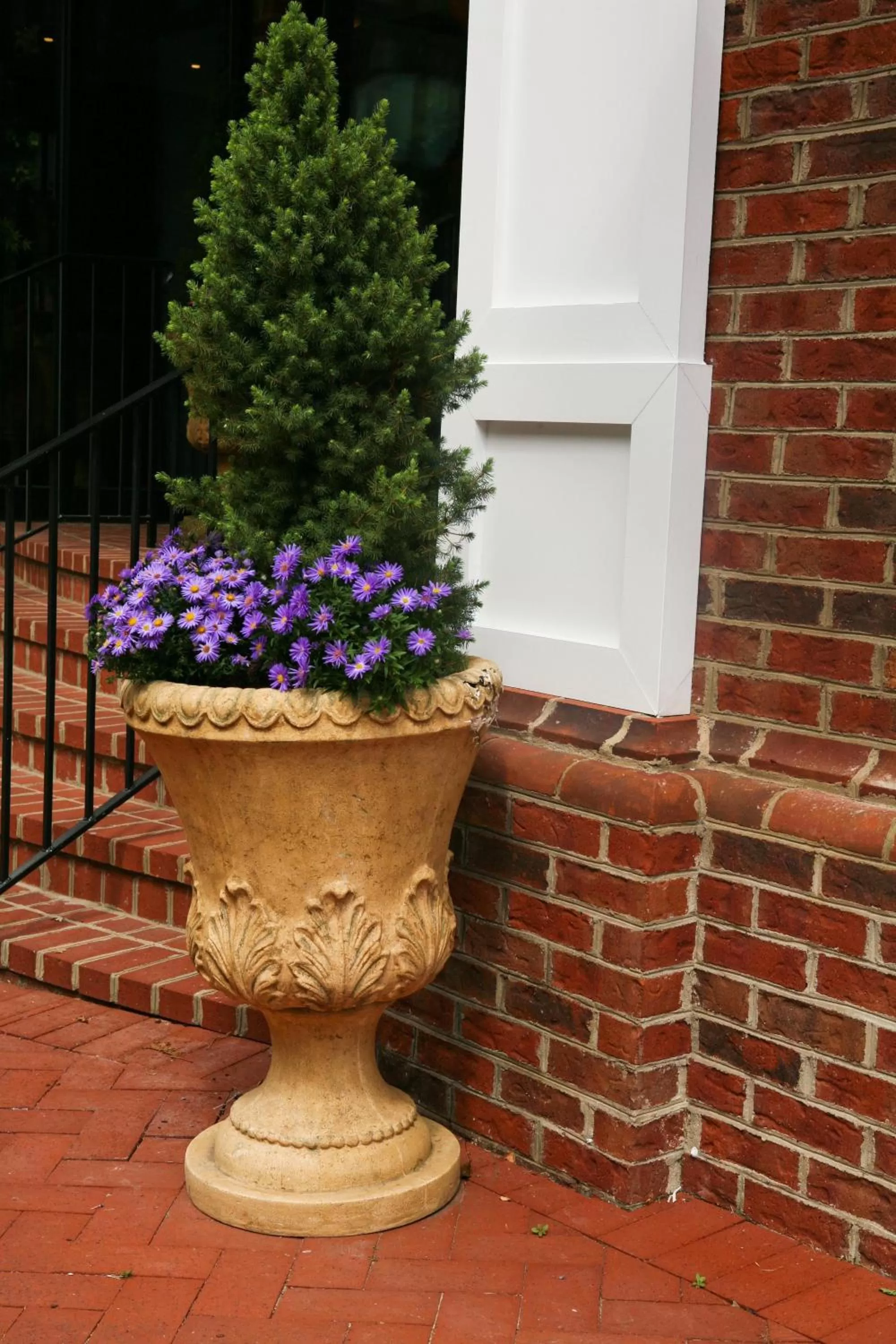 Other in Main Street Inn Blacksburg