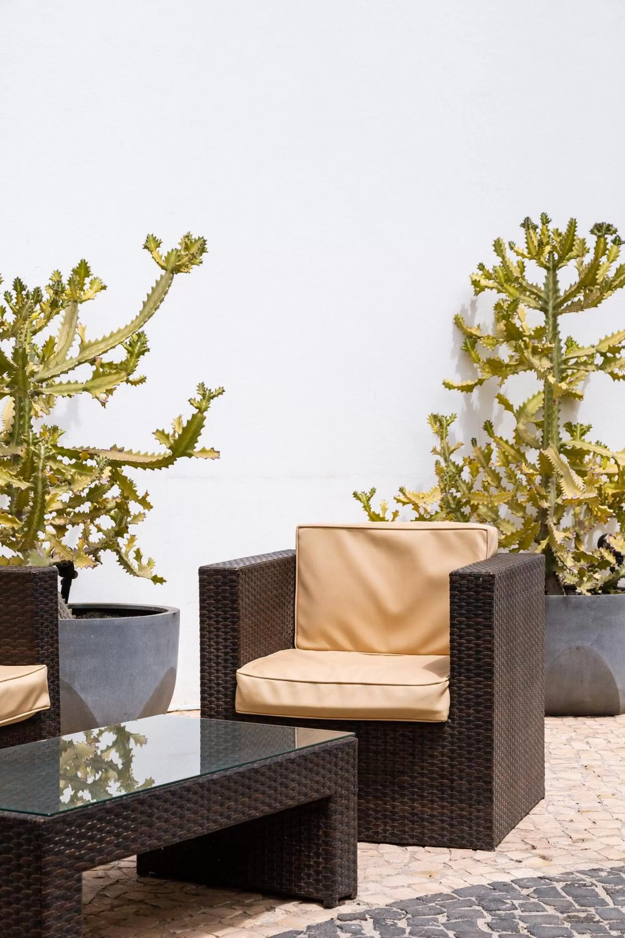 Lounge or bar in Hotel Dunas de Sal