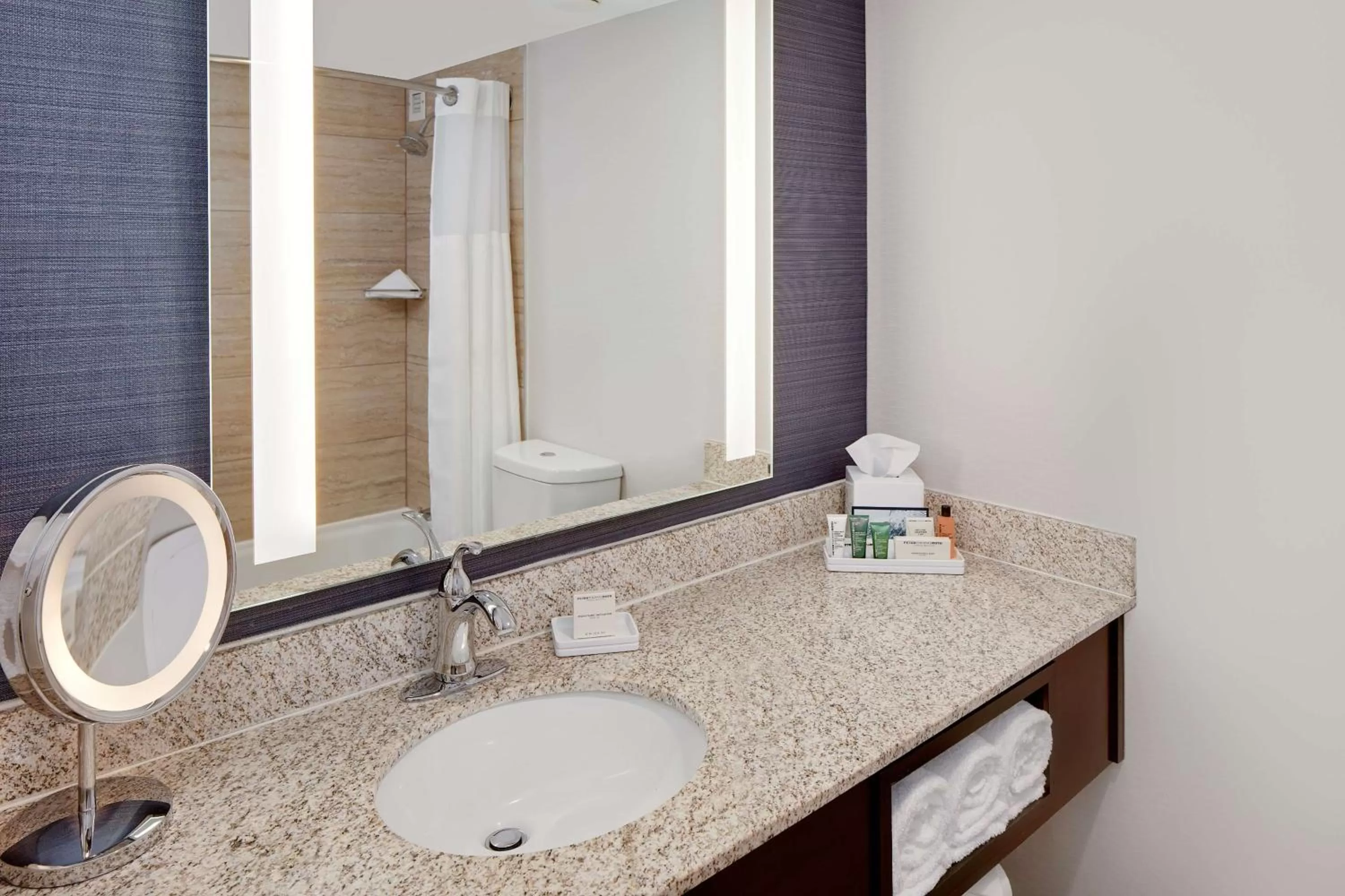 King Room - Mobility/Hearing Accessible with Bath Tub in Hilton Nashville Airport
