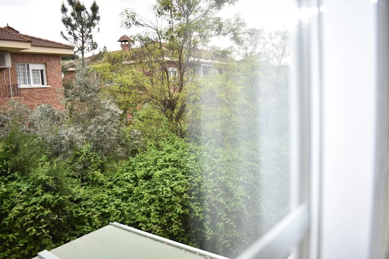 Garden view in Hotel El Ancla