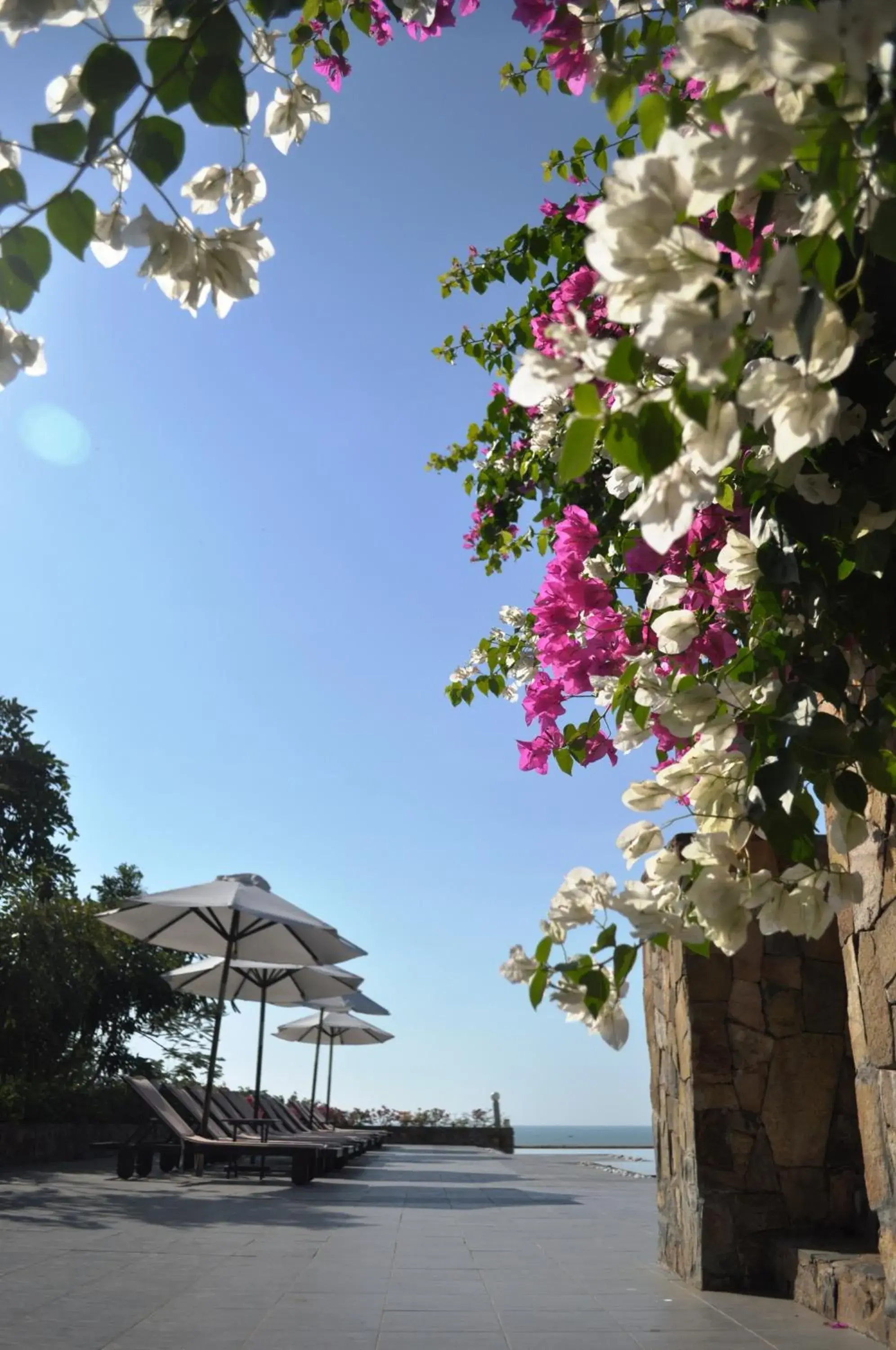 Pool view in Romana Resort & Spa