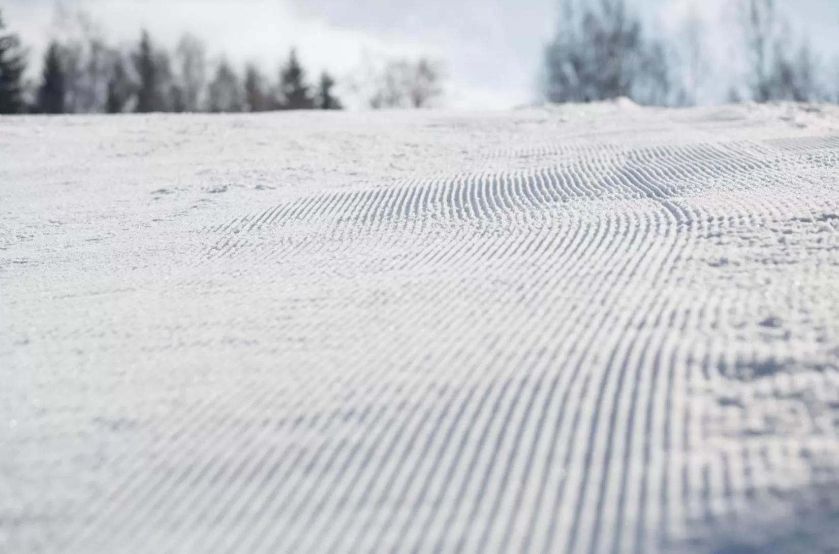 Winter in X-Park Františkov