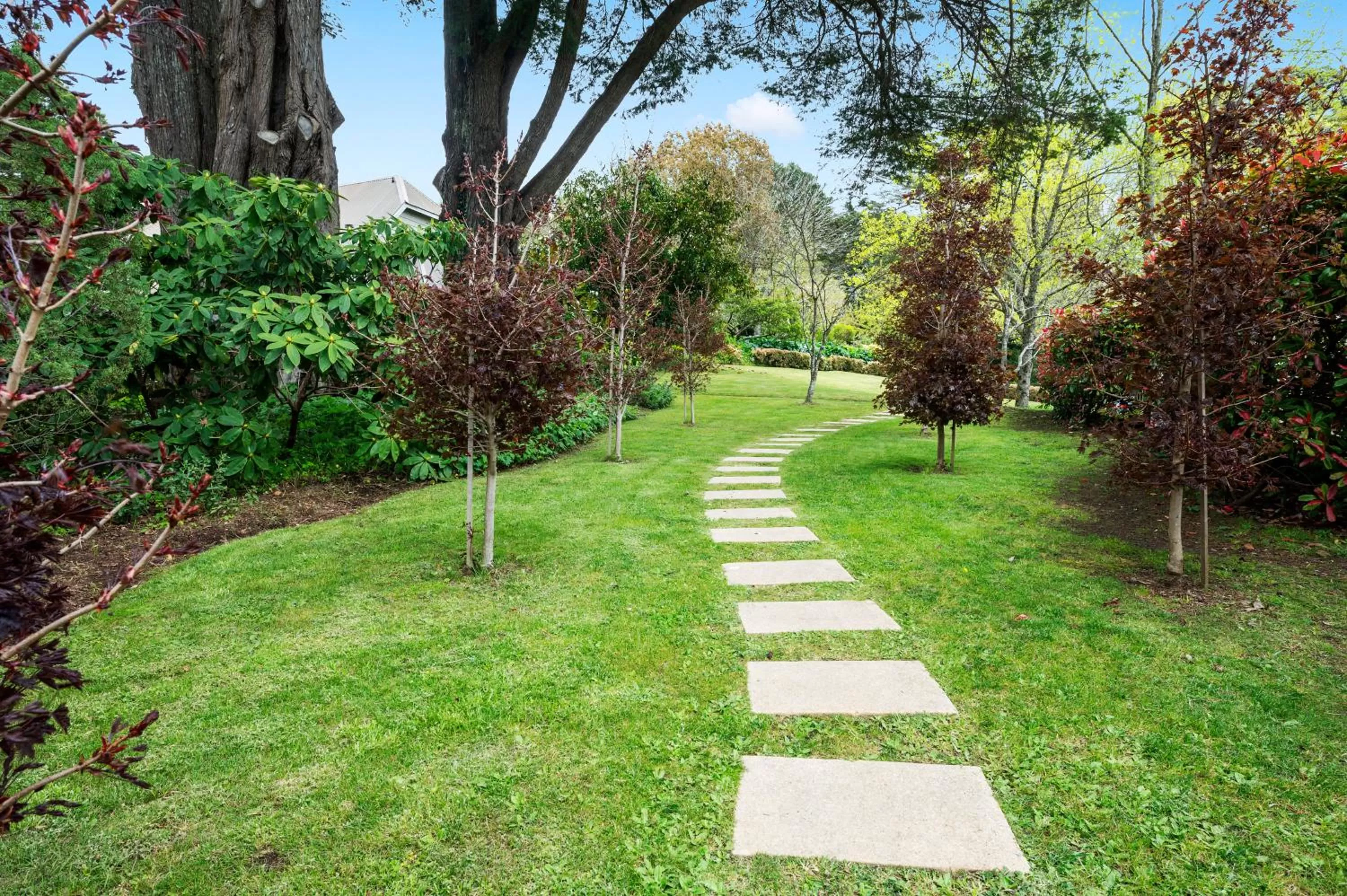 Natural landscape in Parklands Country Gardens & Lodges Blue Mountains