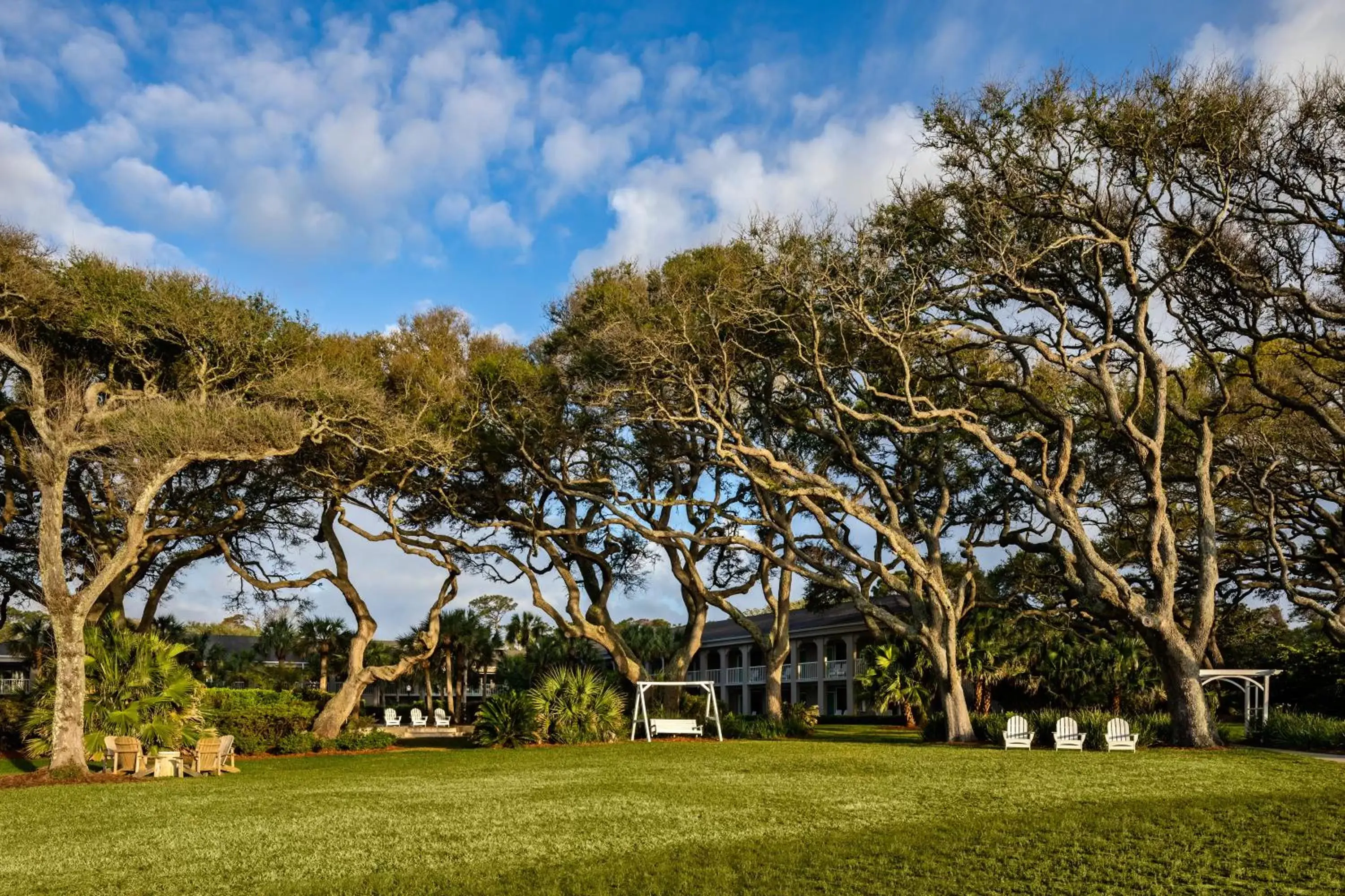 Natural landscape, Garden in Beachview Club Hotel