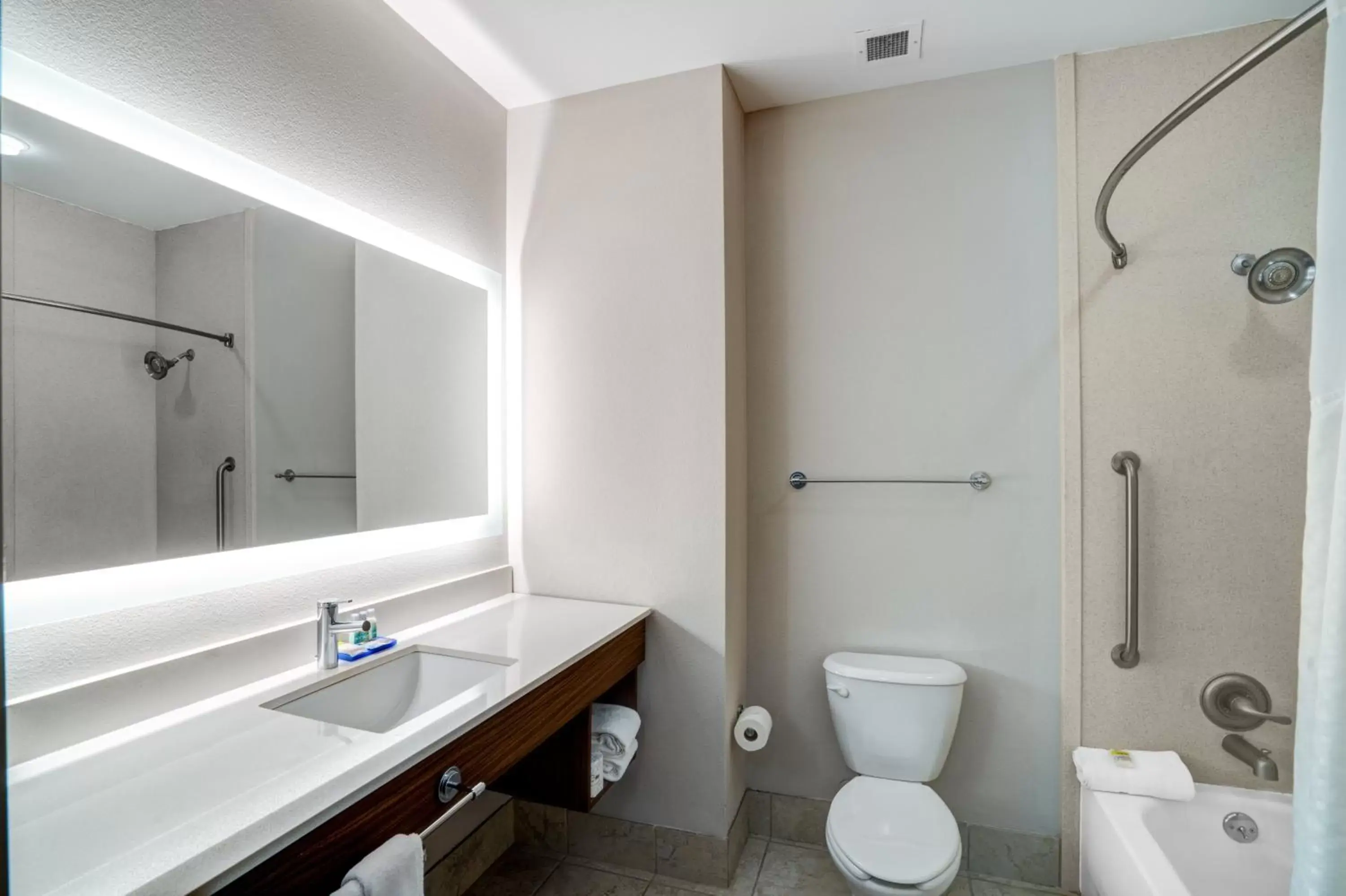 Bathroom in Holiday Inn Express Hotel Winona North, an IHG Hotel