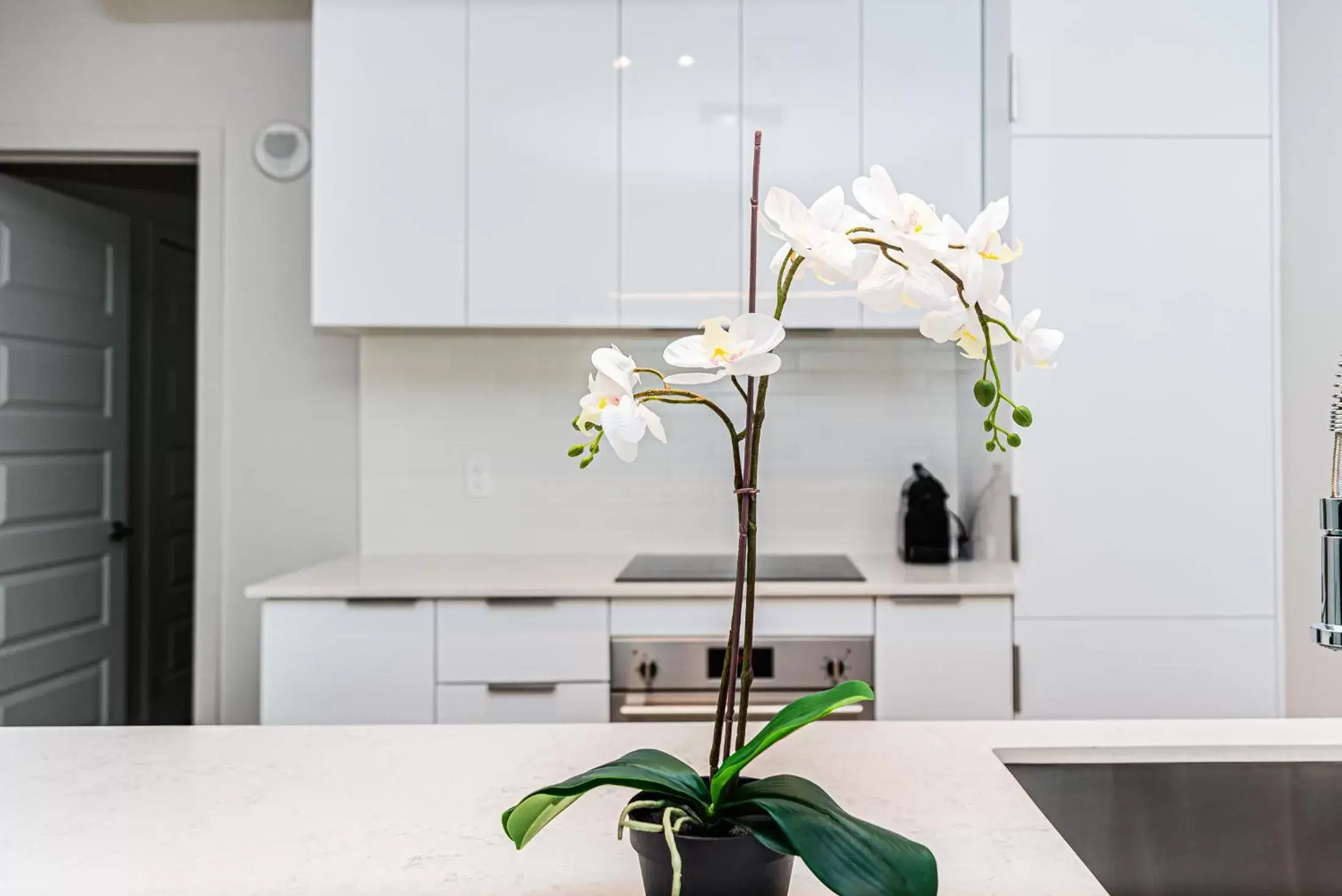 Kitchen or kitchenette, Kitchen/Kitchenette in WRFY Griffintown Apartment