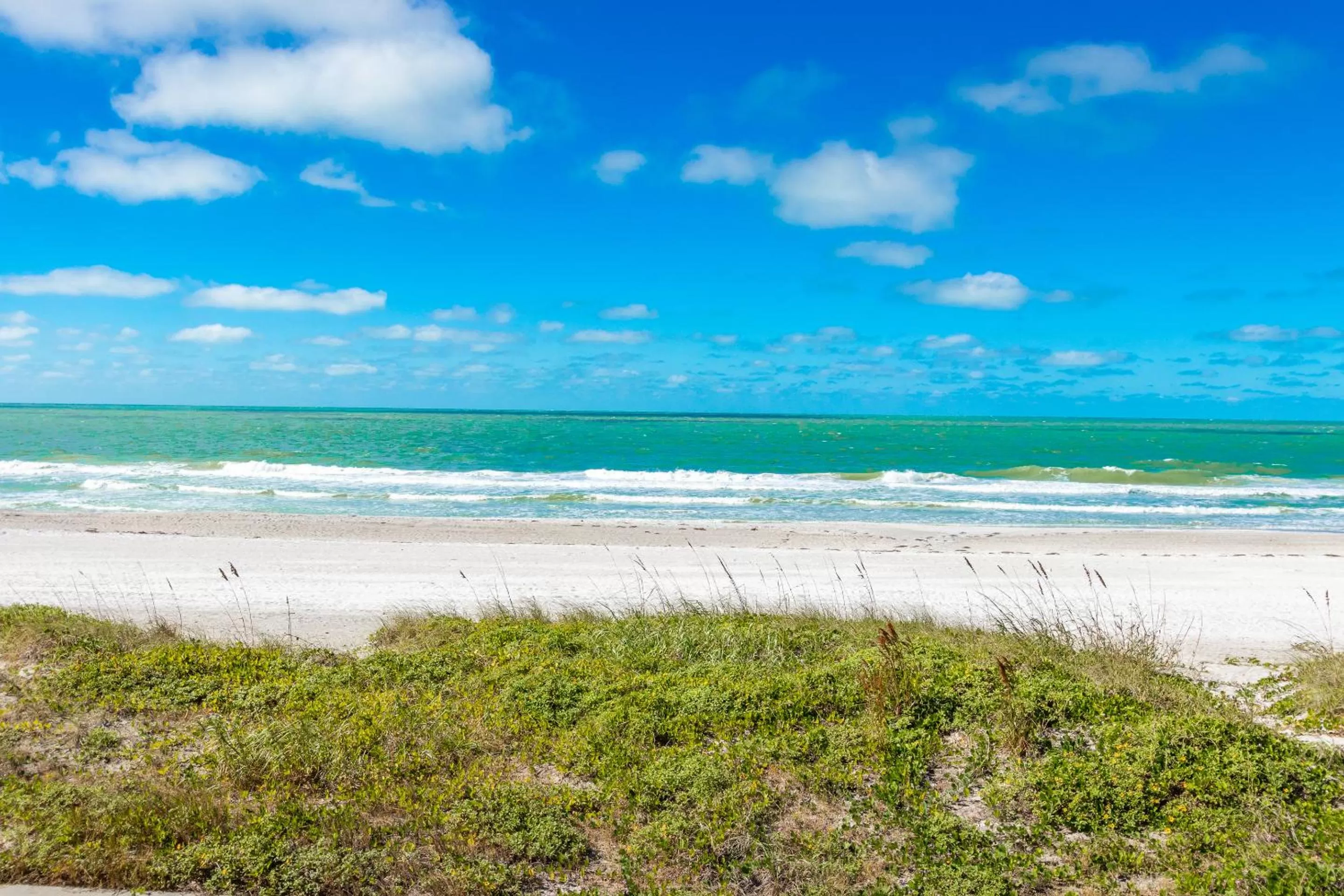 Natural landscape in Belleair Beach Resort Motel
