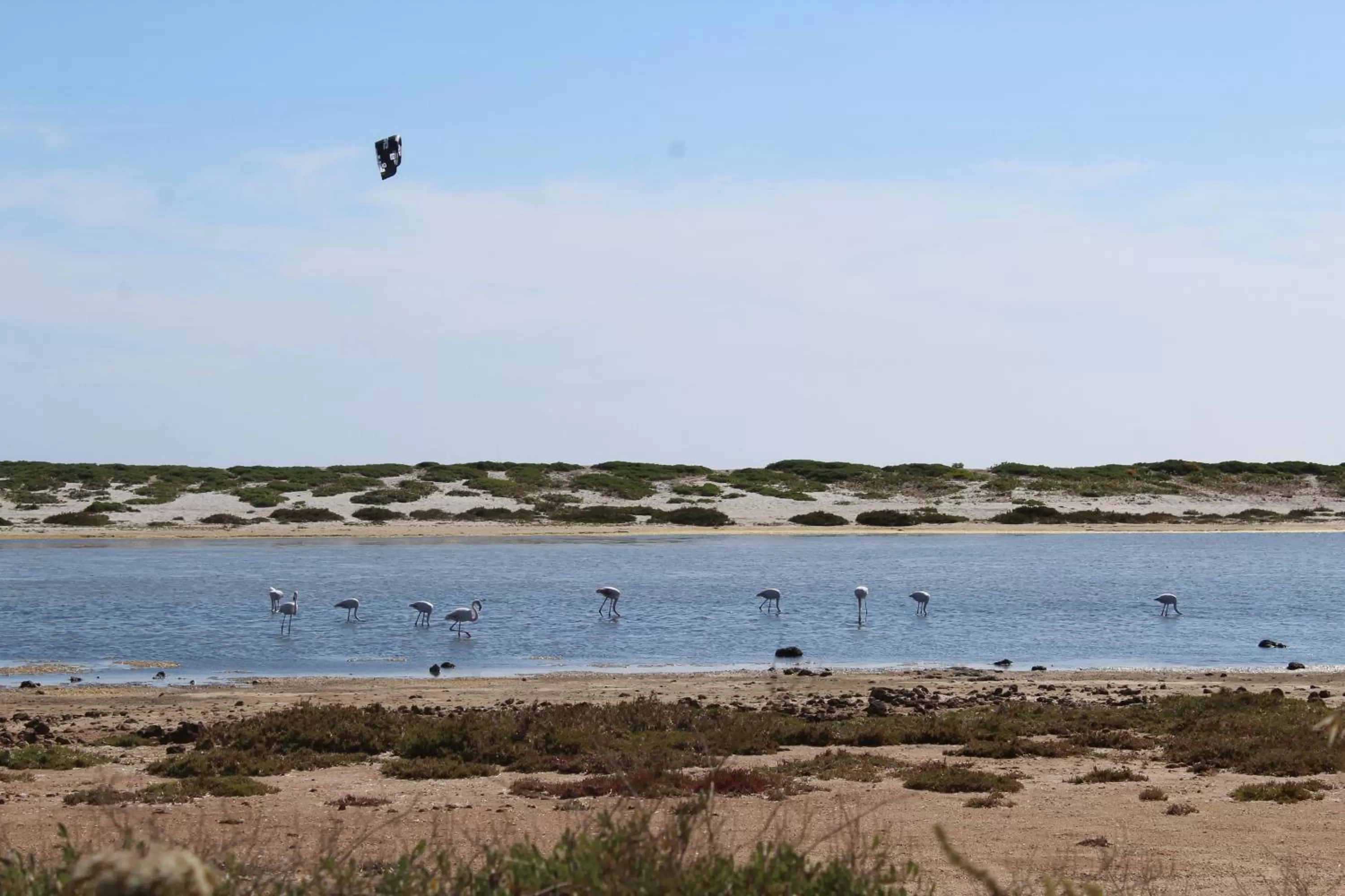 Beach in Bed & Breakfast Paui