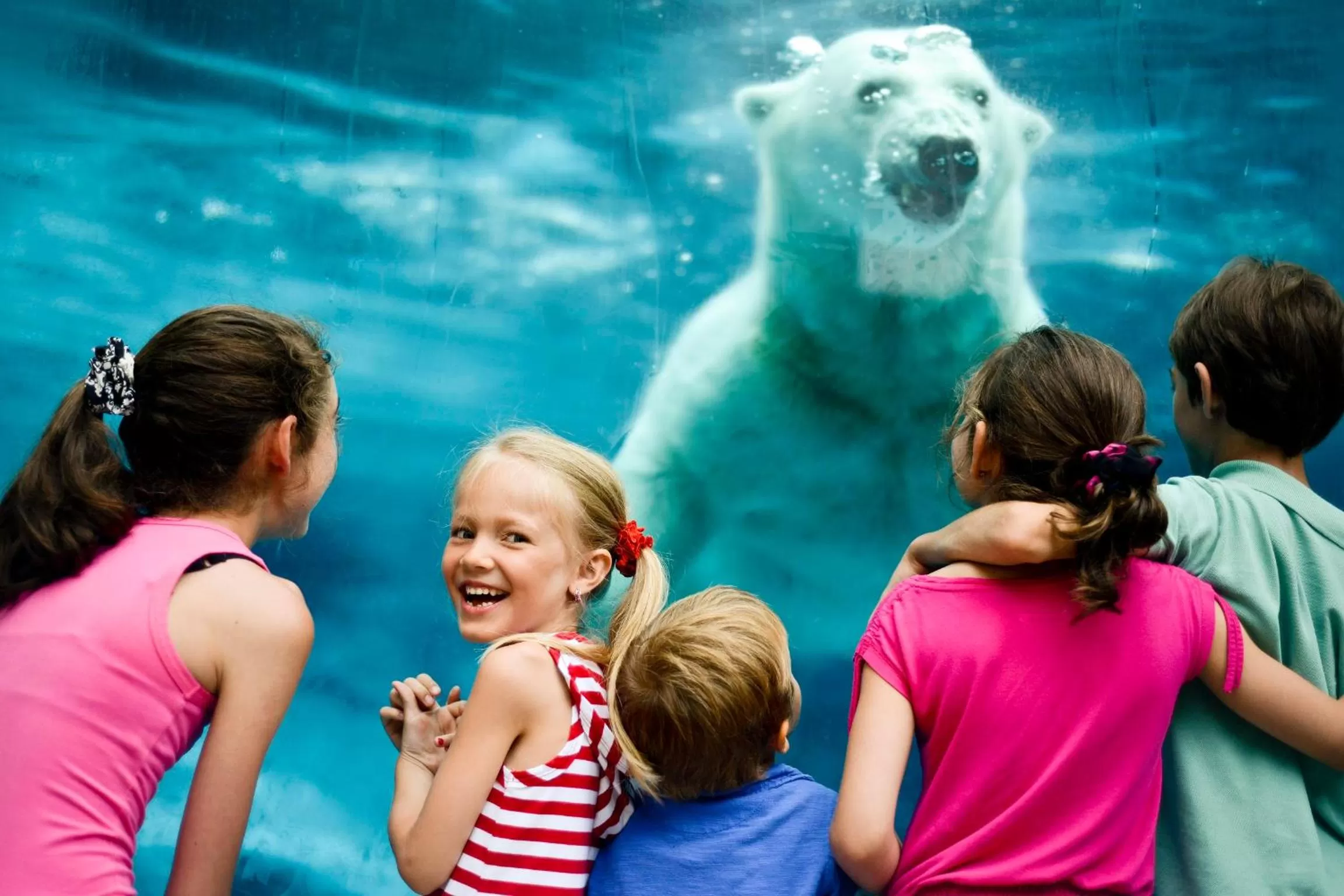 Entertainment in Travelodge by Wyndham Alma