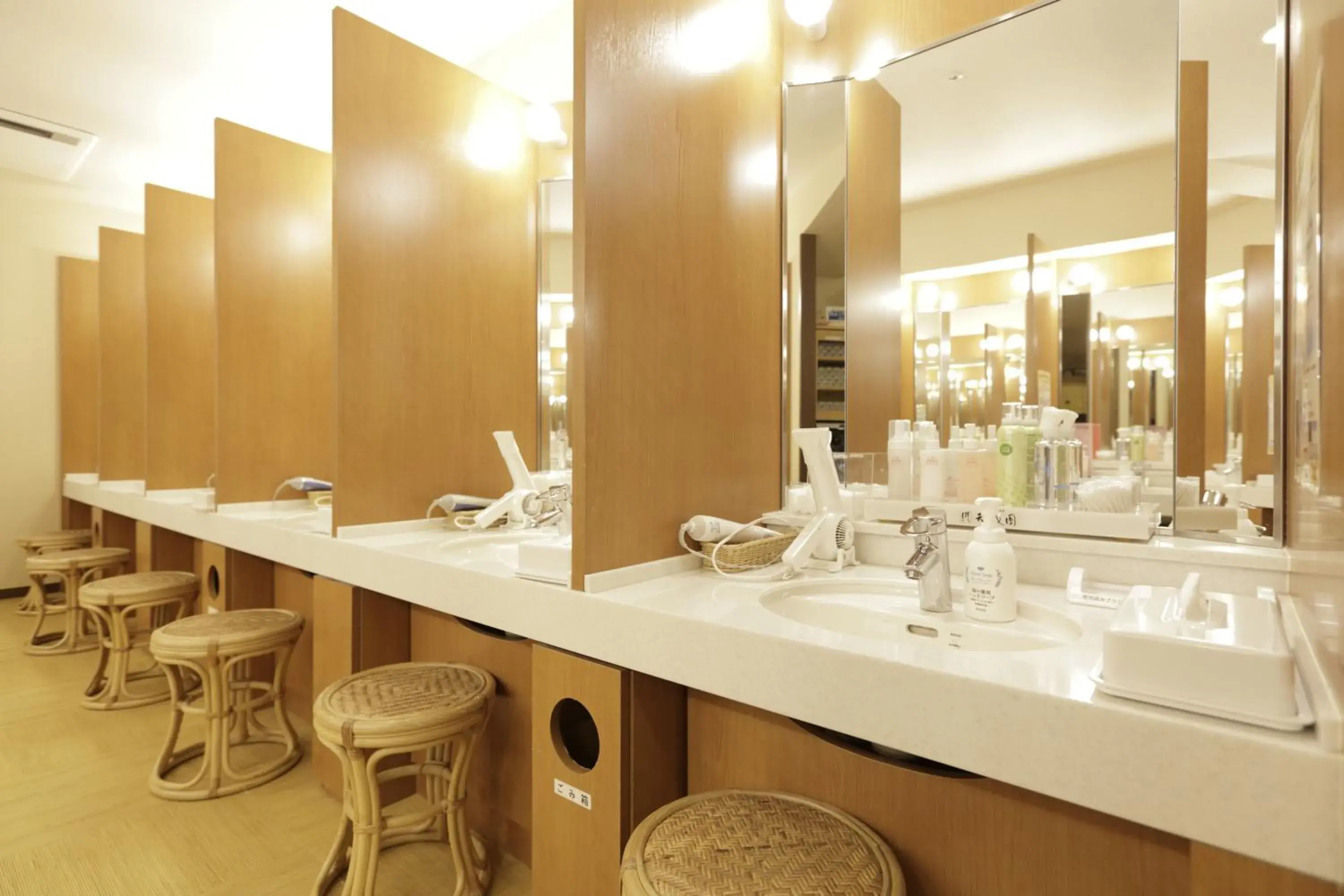 Bathroom in Hakone Tenseien Hotel
