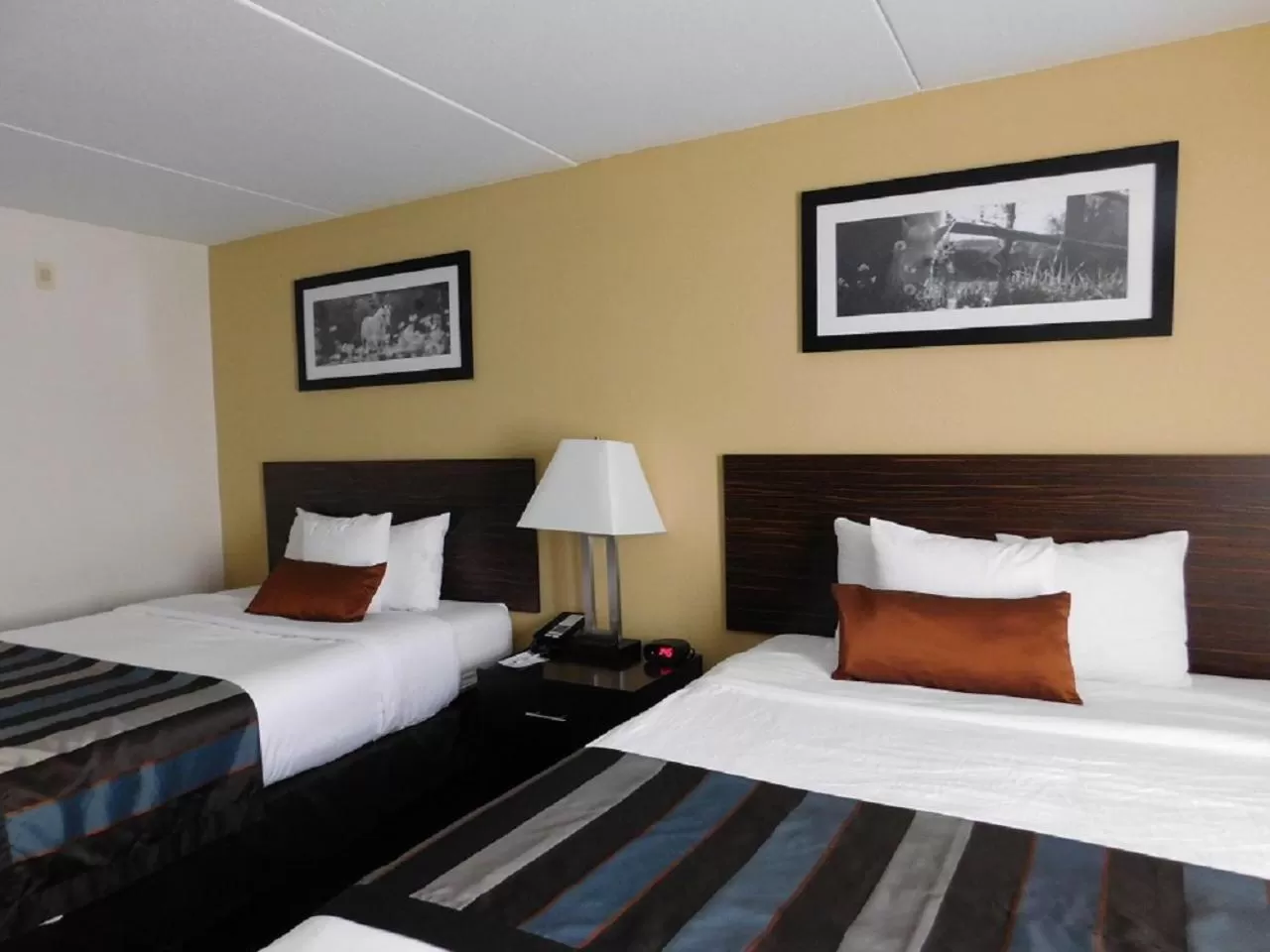 Bed in Wingate by Wyndham Bowling Green