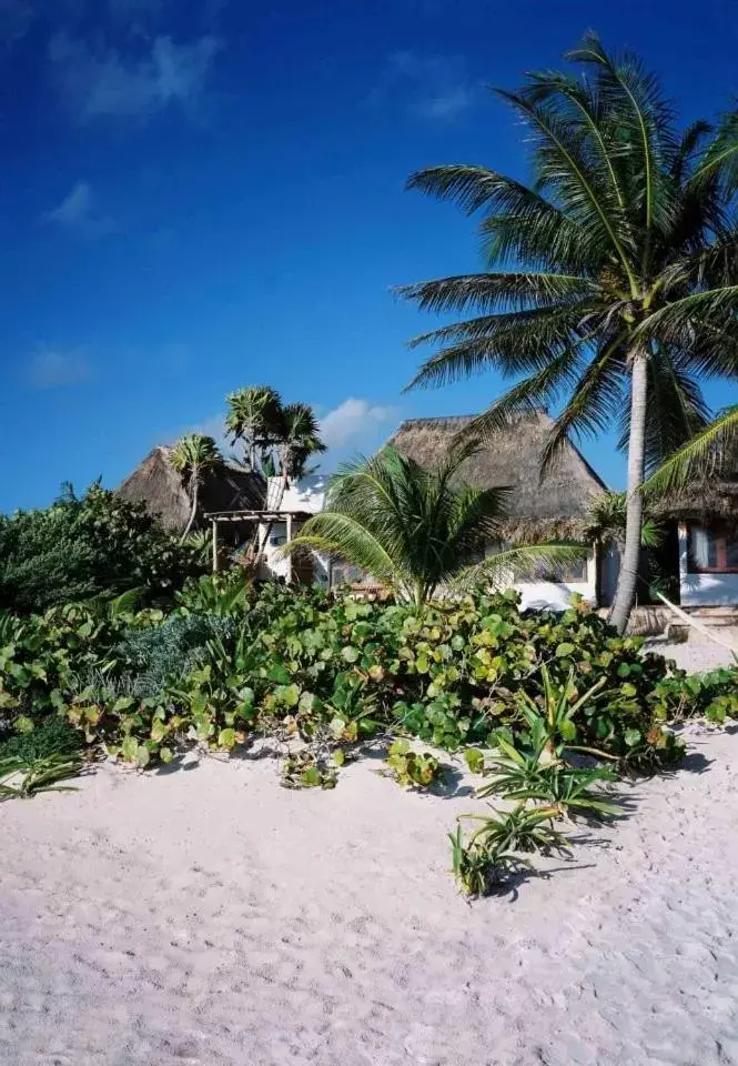 Day, Beach in Casa Violeta