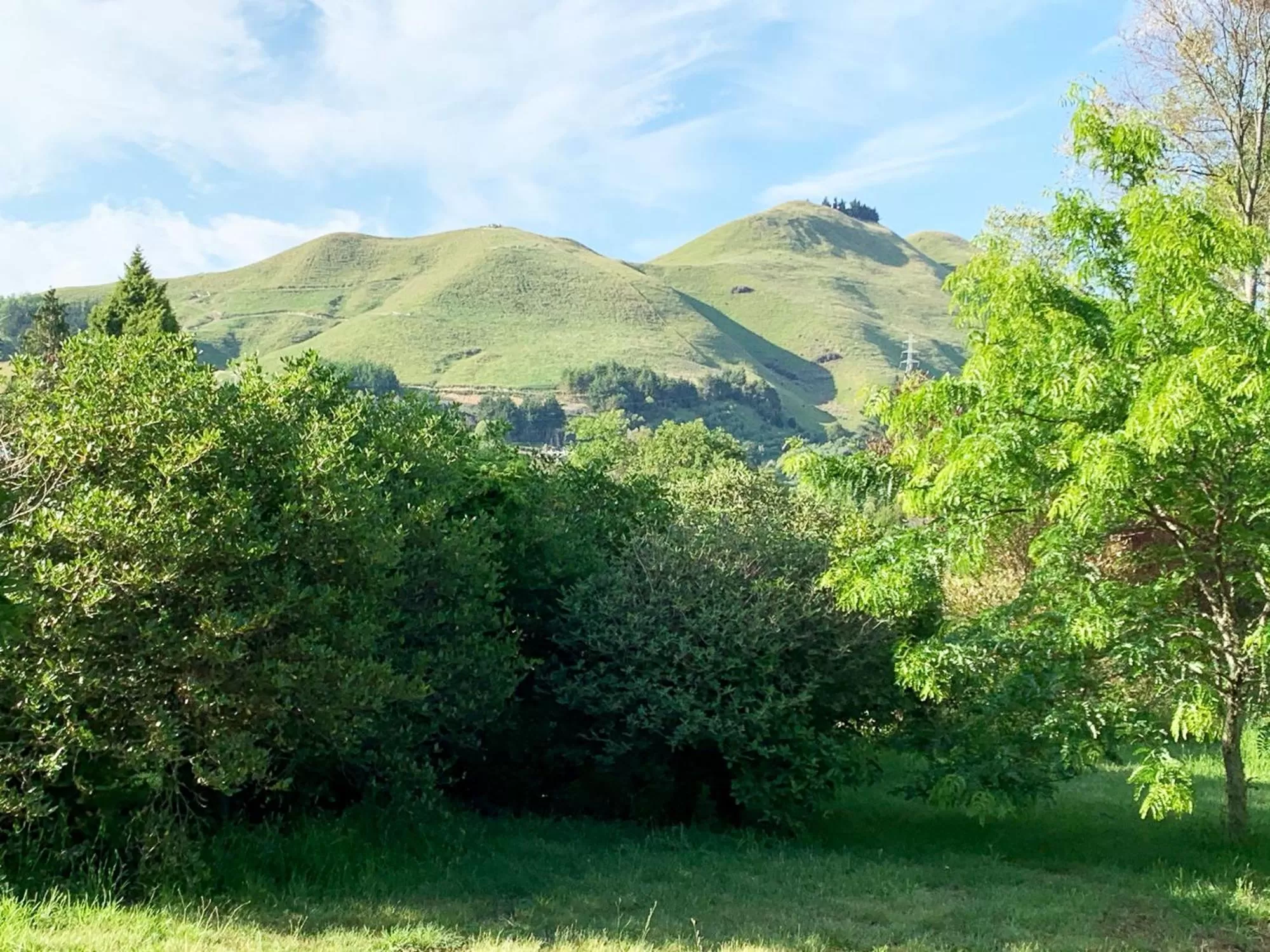 Landmark view, Mountain View in Quail Farm, Colonial charm