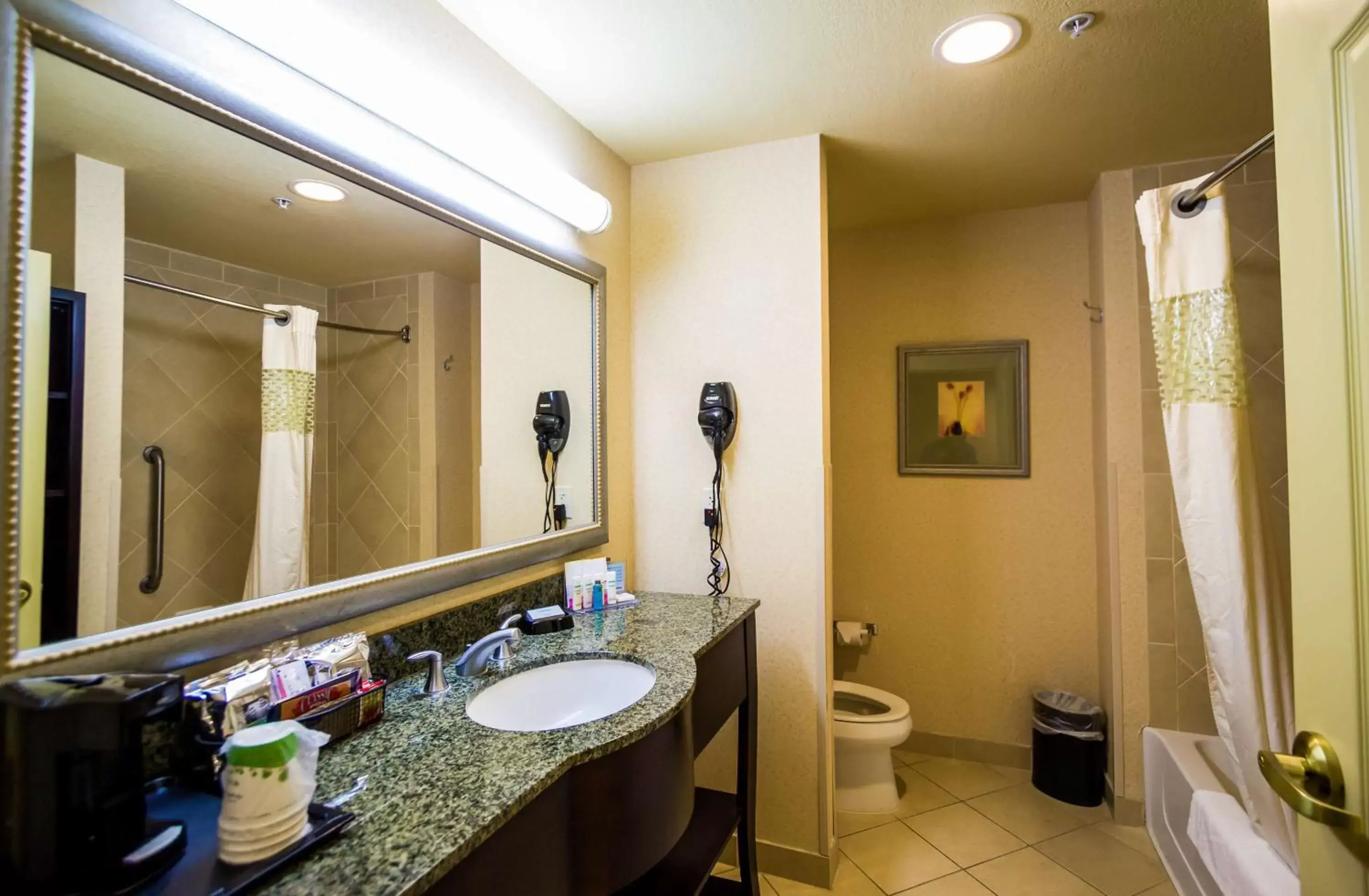 Bathroom in Hampton Inn & Suites Natchez