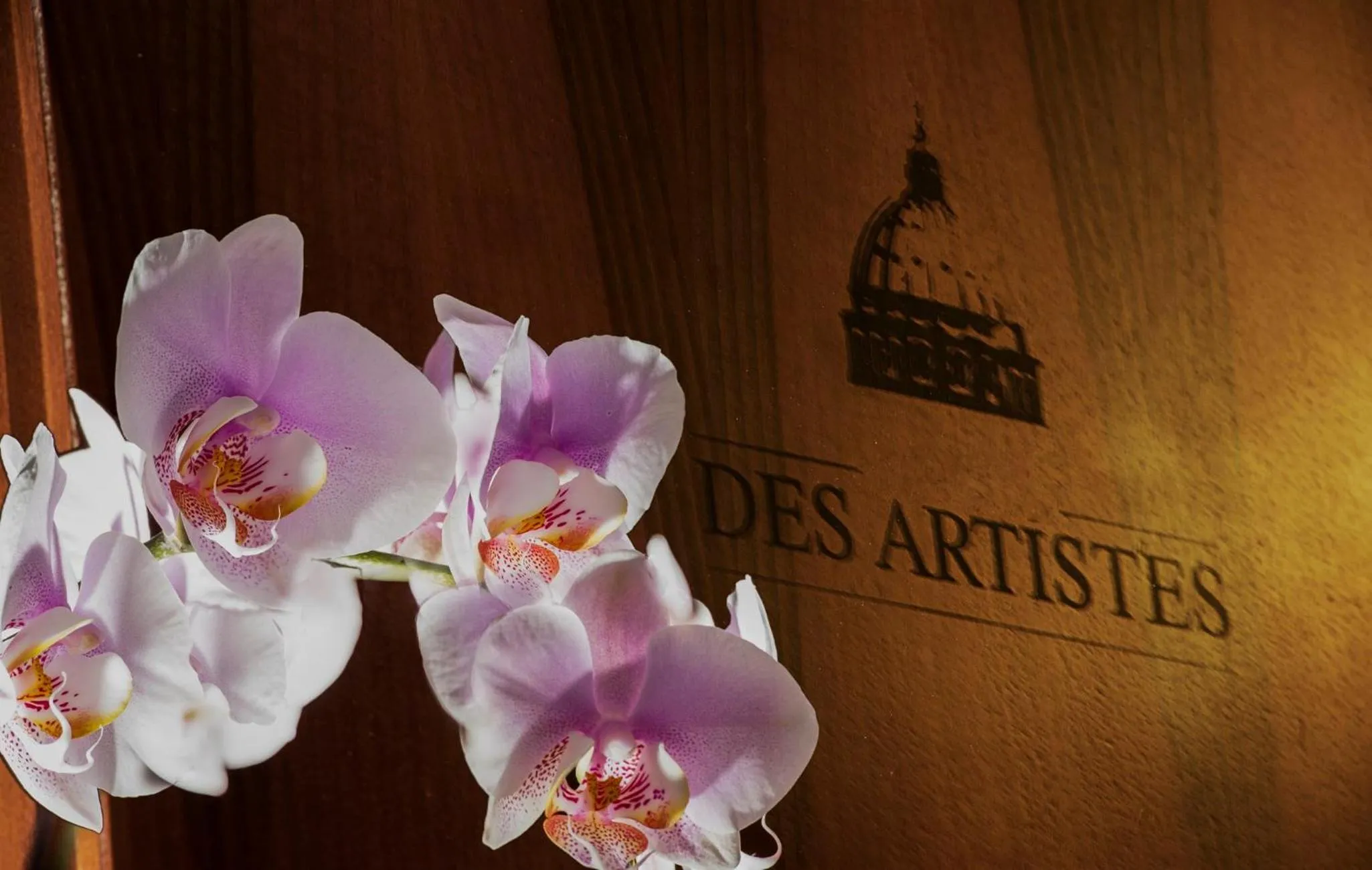 Floor plan in Budget Rooms Des Arts