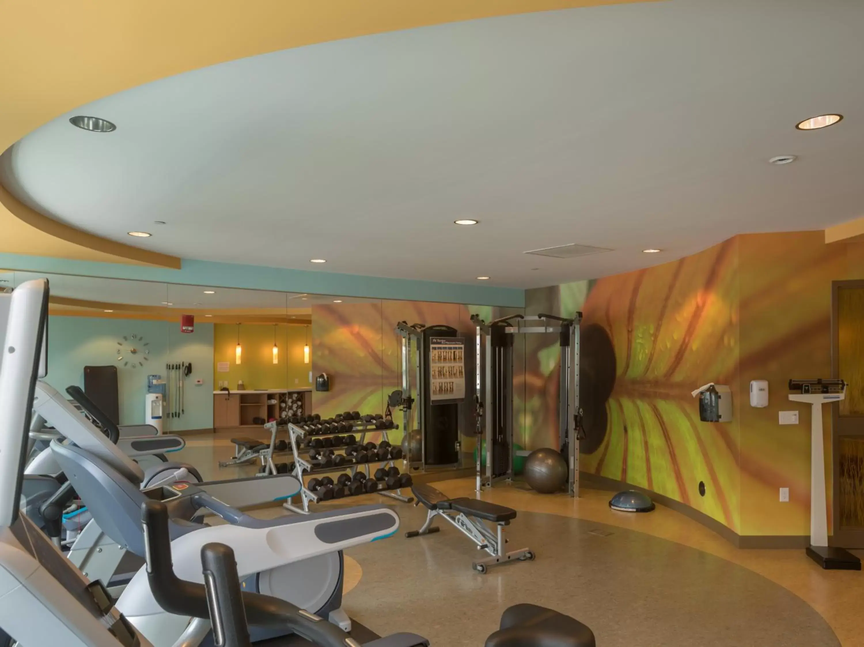 Fitness centre/facilities, Fitness Center/Facilities in Hotel Indigo Asheville Downtown, an IHG Hotel