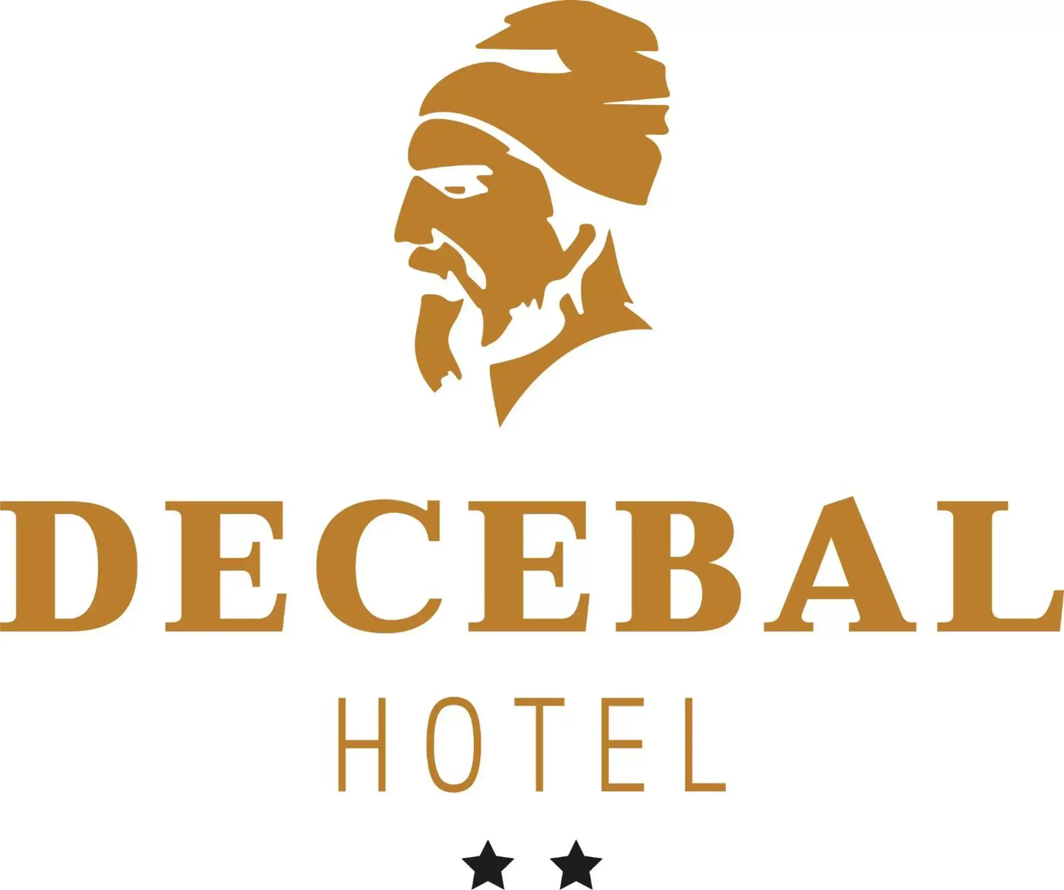 Hotel Decebal Bistrita Hotel Decebal Bistrita