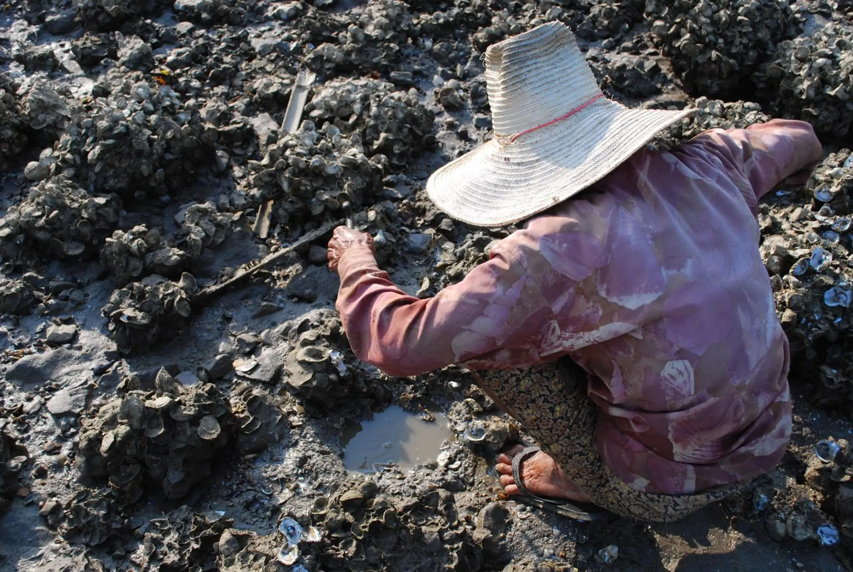 Nearby landmark in Salsa Hostel Nearby landmark in Salsa Hostel