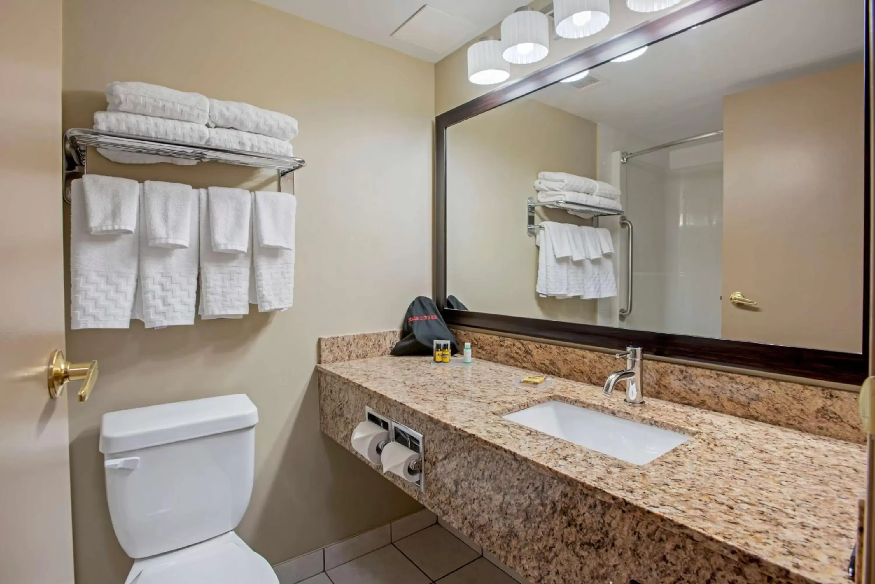 Bathroom in Best Western Plus Red Deer Inn & Suite