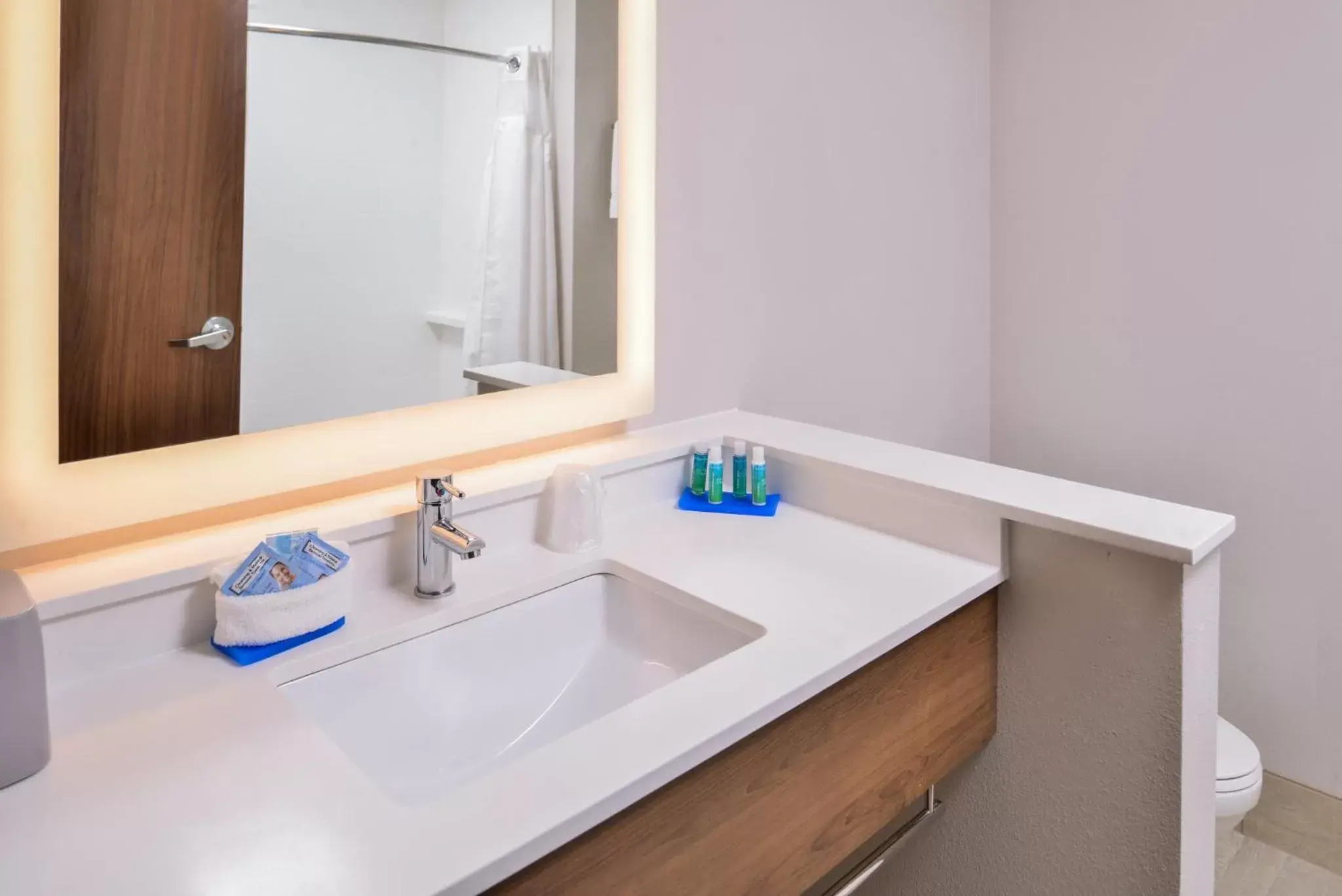 Bathroom in Holiday Inn Express & Suites - Siloam Springs, an IHG Hotel