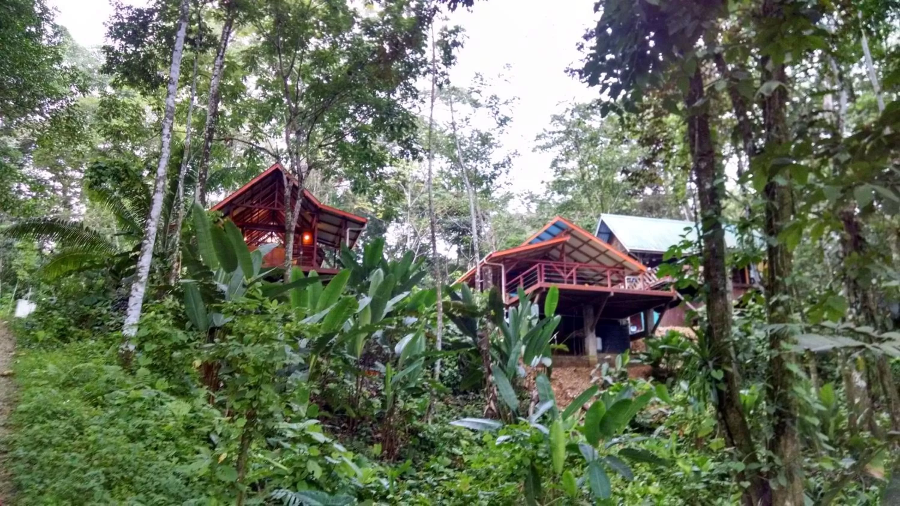 Restaurant/places to eat in Surf Break at Paunch