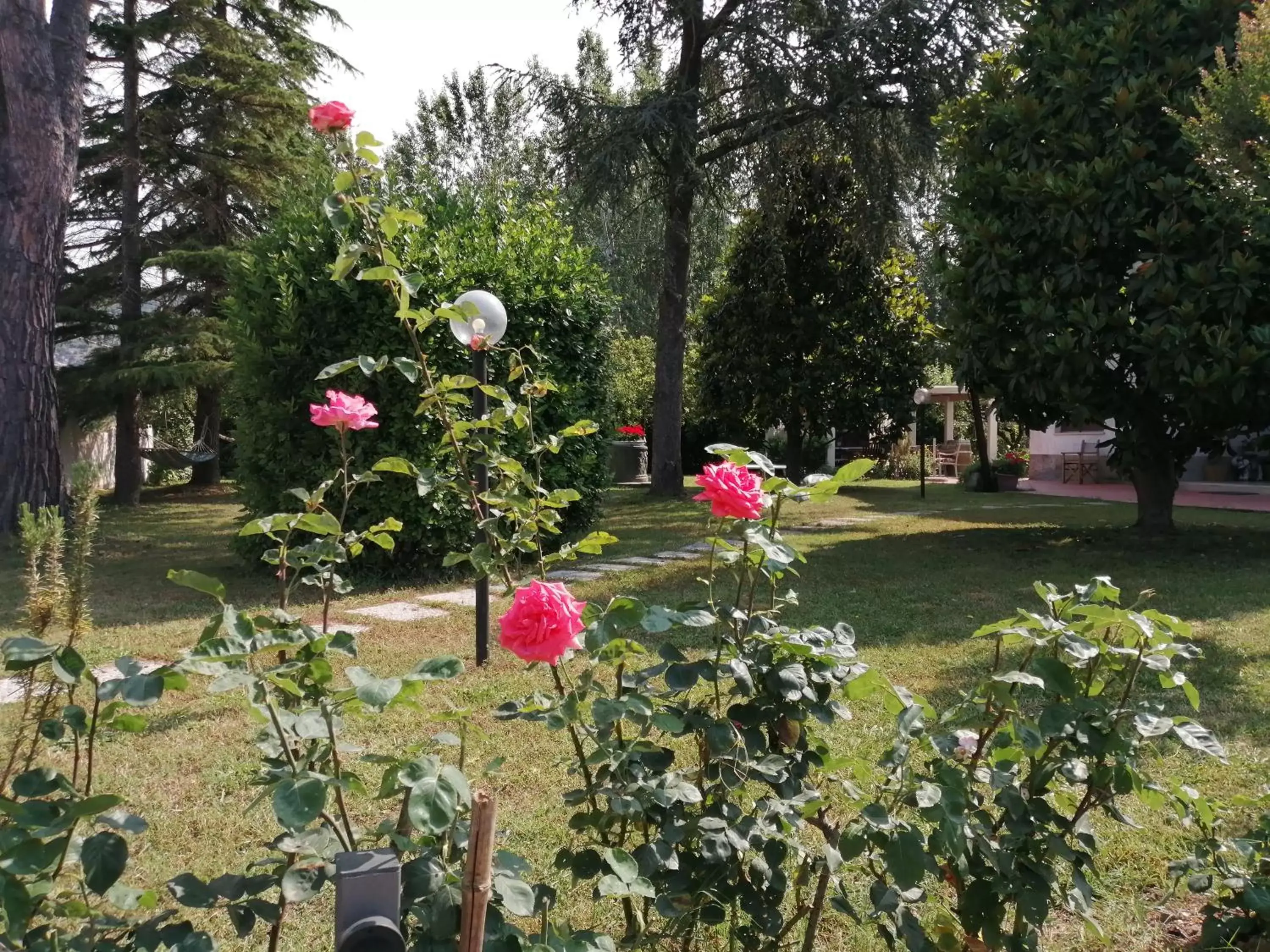 Garden in Villa Oasi