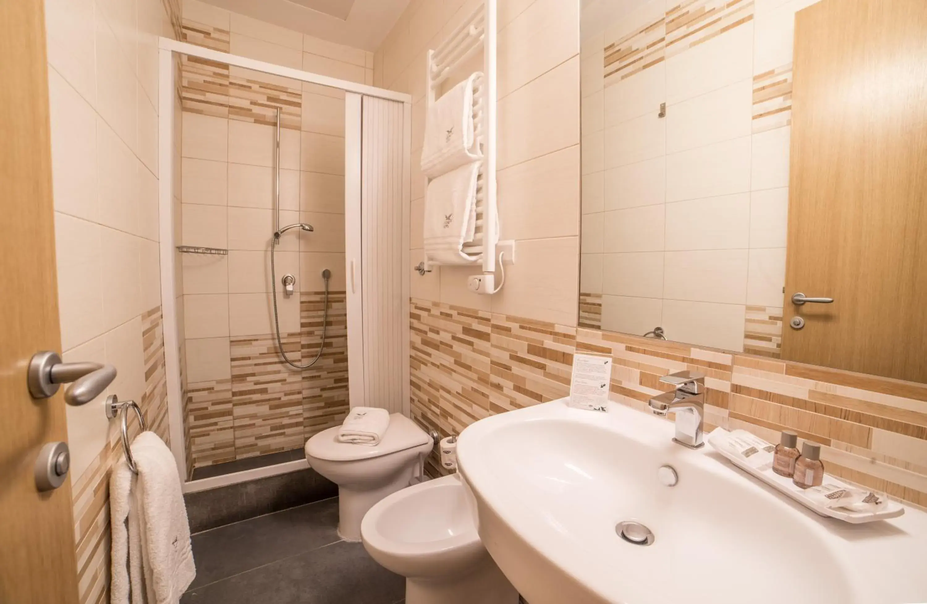Shower, Bathroom in Airone Hotel