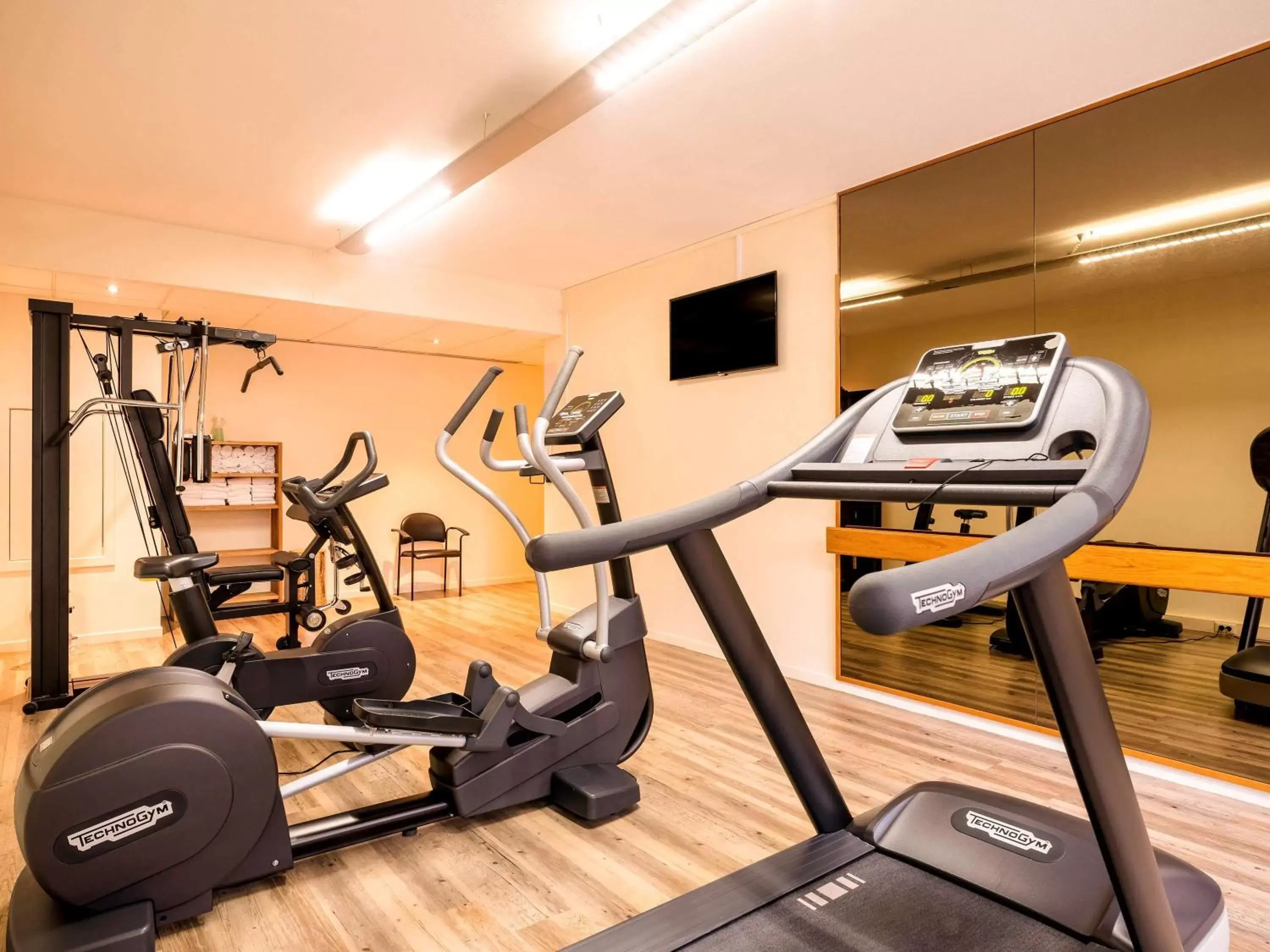 Fitness centre/facilities, Fitness Center/Facilities in Mercure Antwerp City South