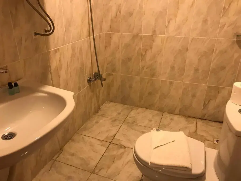 Shower, Bathroom in historial hotel