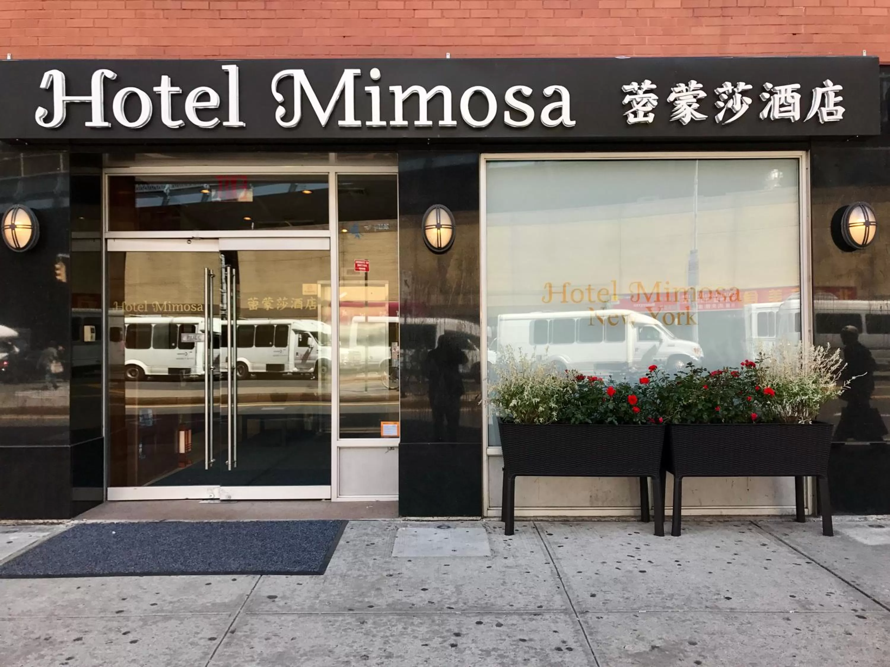 Hotel Mimosa