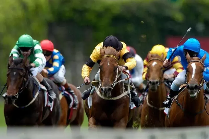 Horse-riding, Horseback Riding in Cahir House Hotel