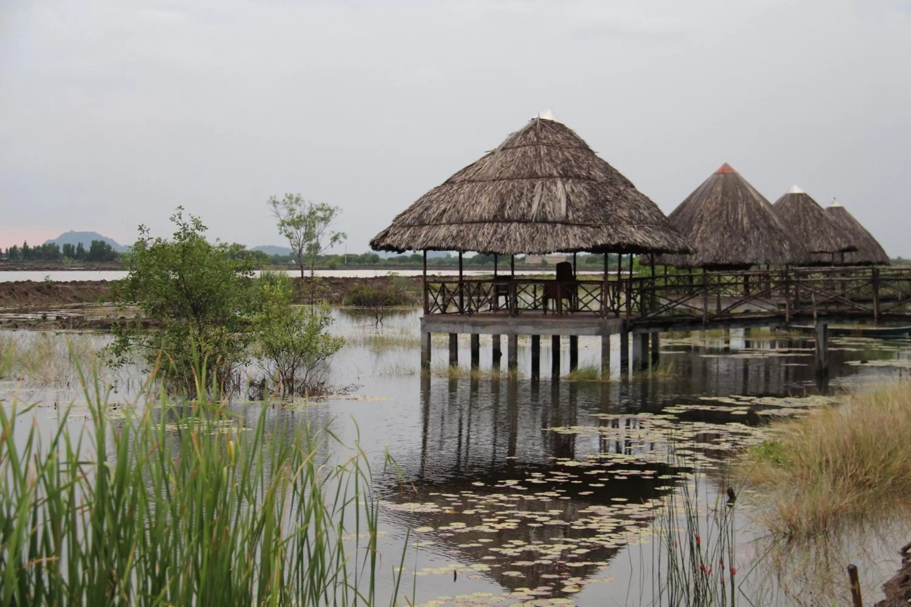 Activities in River Hotel