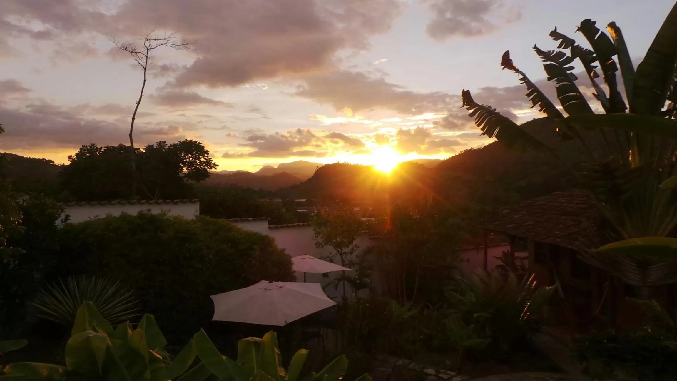 Garden in La Casa de Cafe Bed and Breakfast