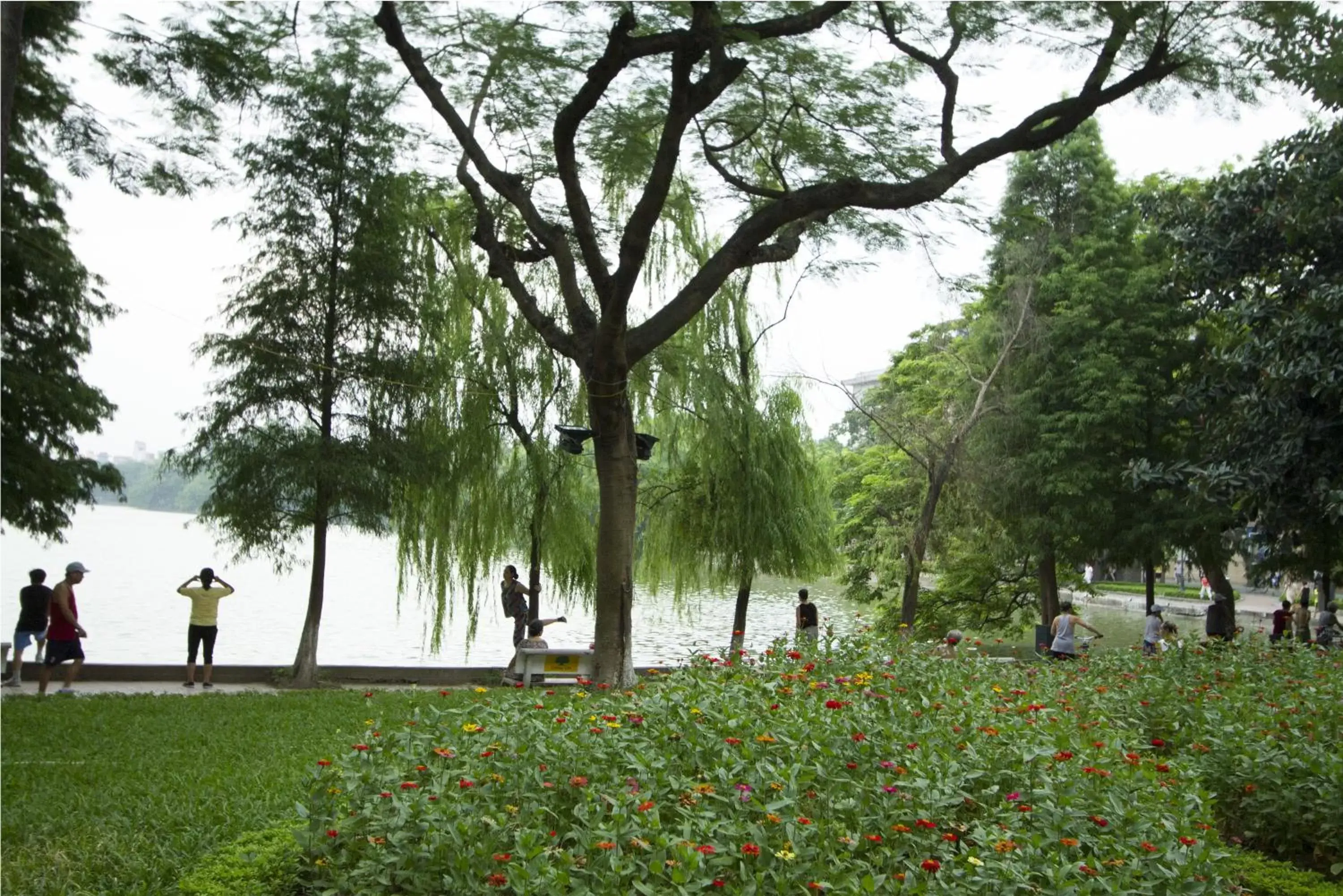 Area and facilities, Garden in Silk Path Boutique Hanoi