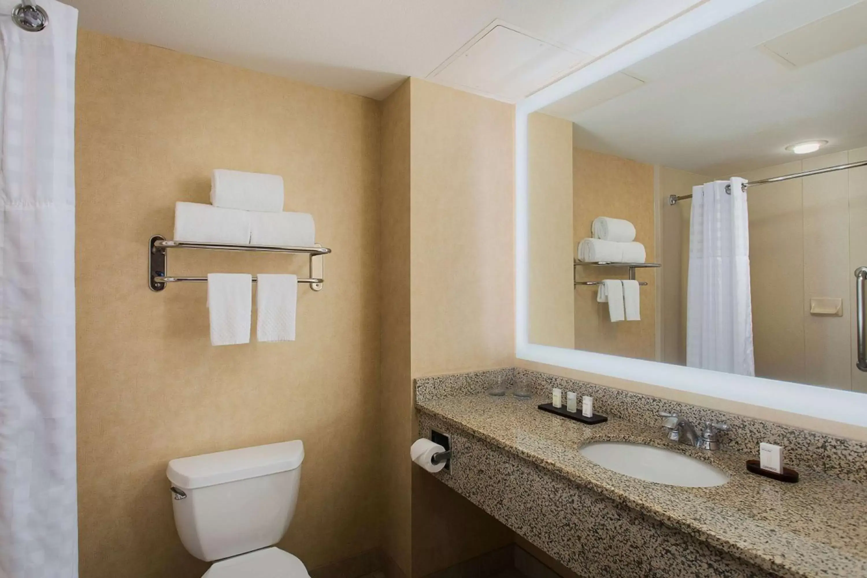 Bathroom in Embassy Suites by Hilton Dallas Frisco Hotel & Convention Center