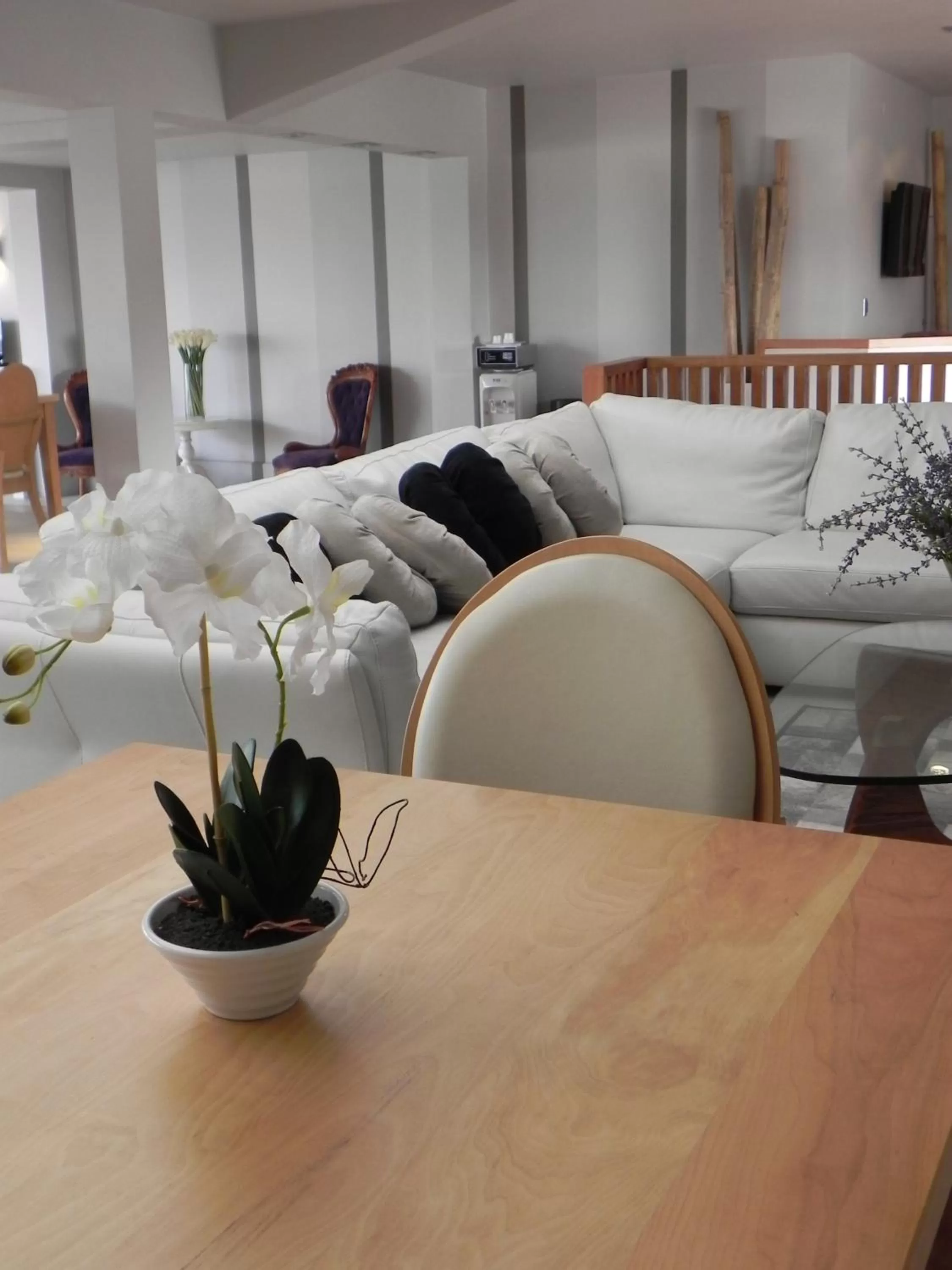 Communal lounge/ TV room, Bed in Hotel Las Terrazas Business