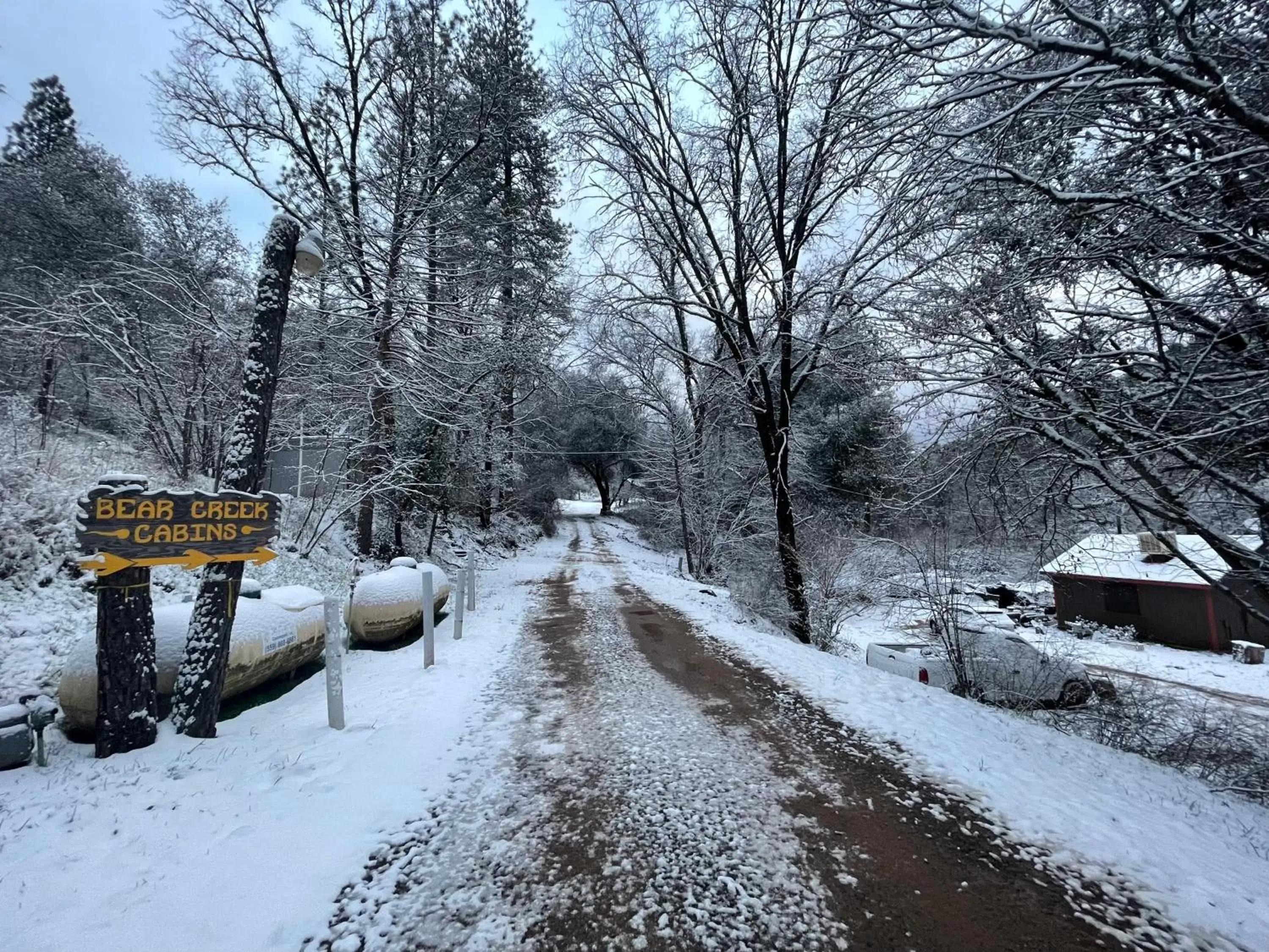 Winter in Bear Creek Cabins