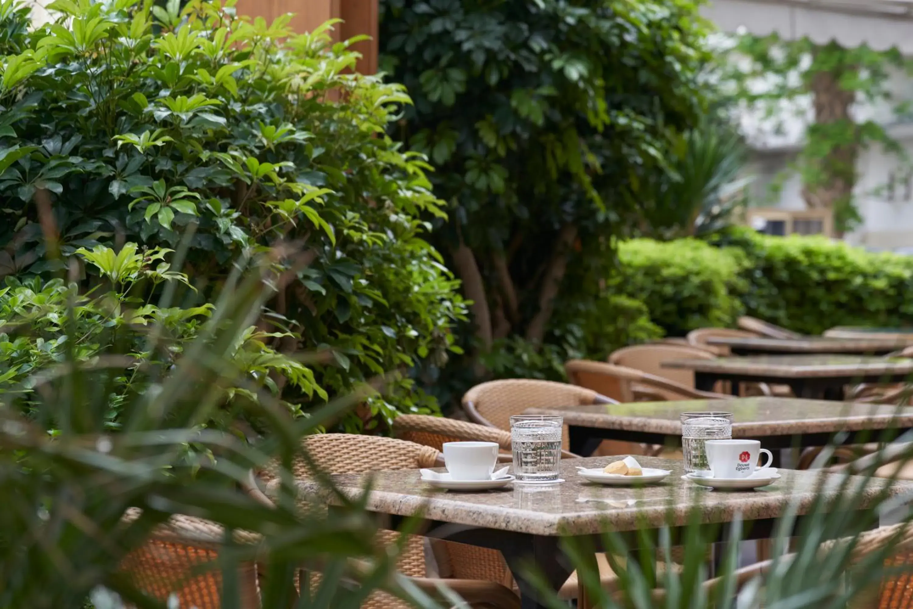 Patio in Esperia City Hotel