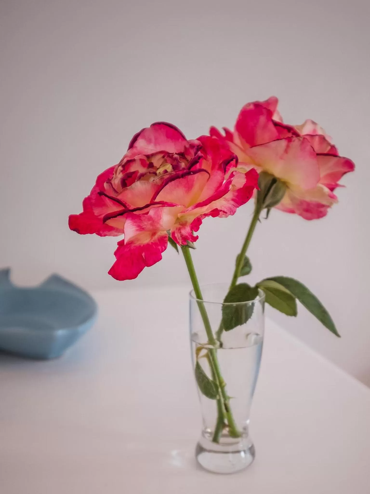 Decorative detail in On the Bay