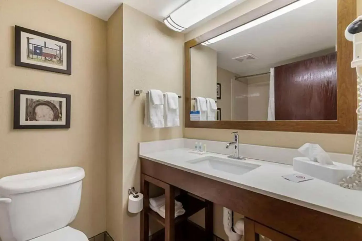 Bathroom in Comfort Inn & Suites San Antonio Airport