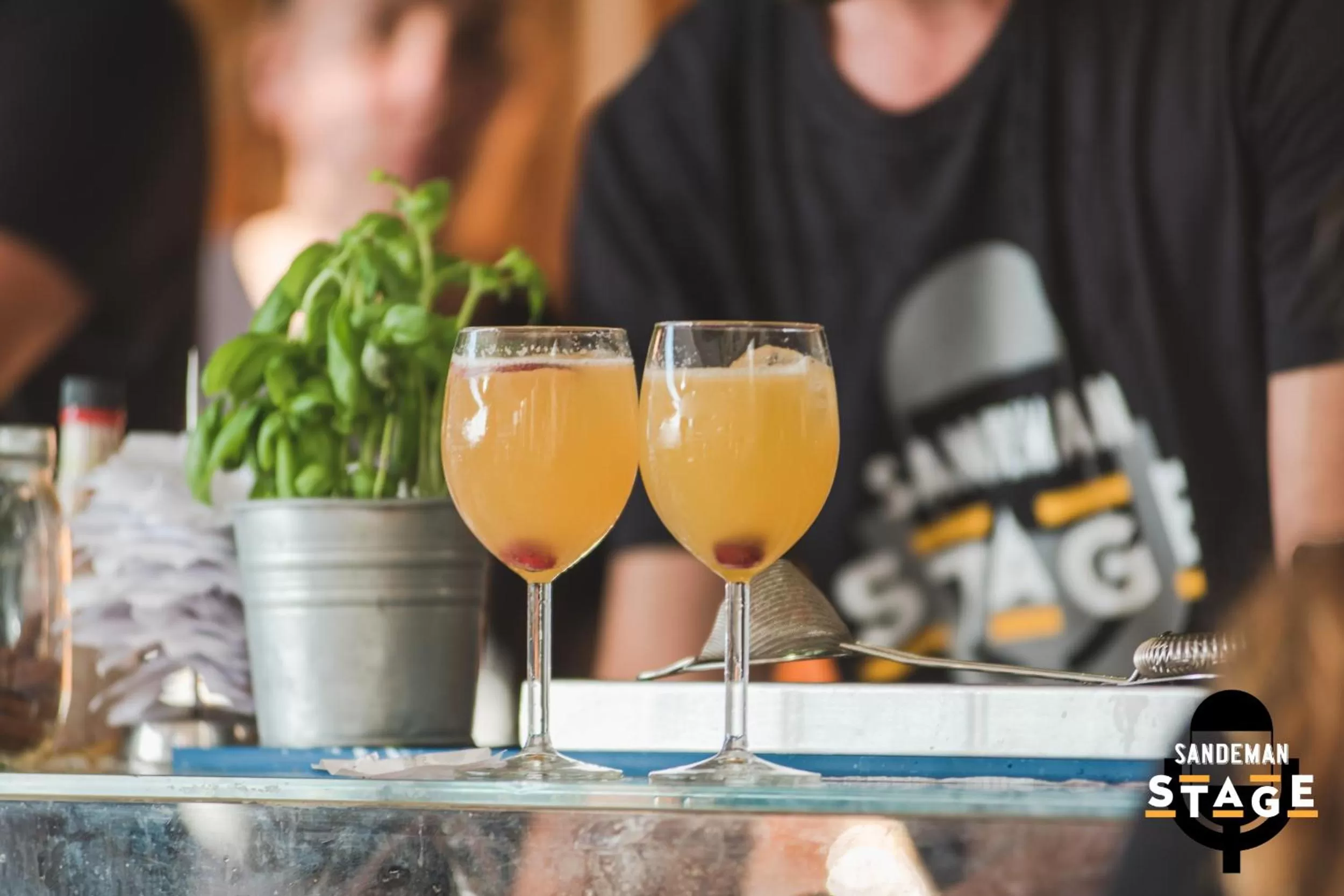 Alcoholic drinks in The House of Sandeman