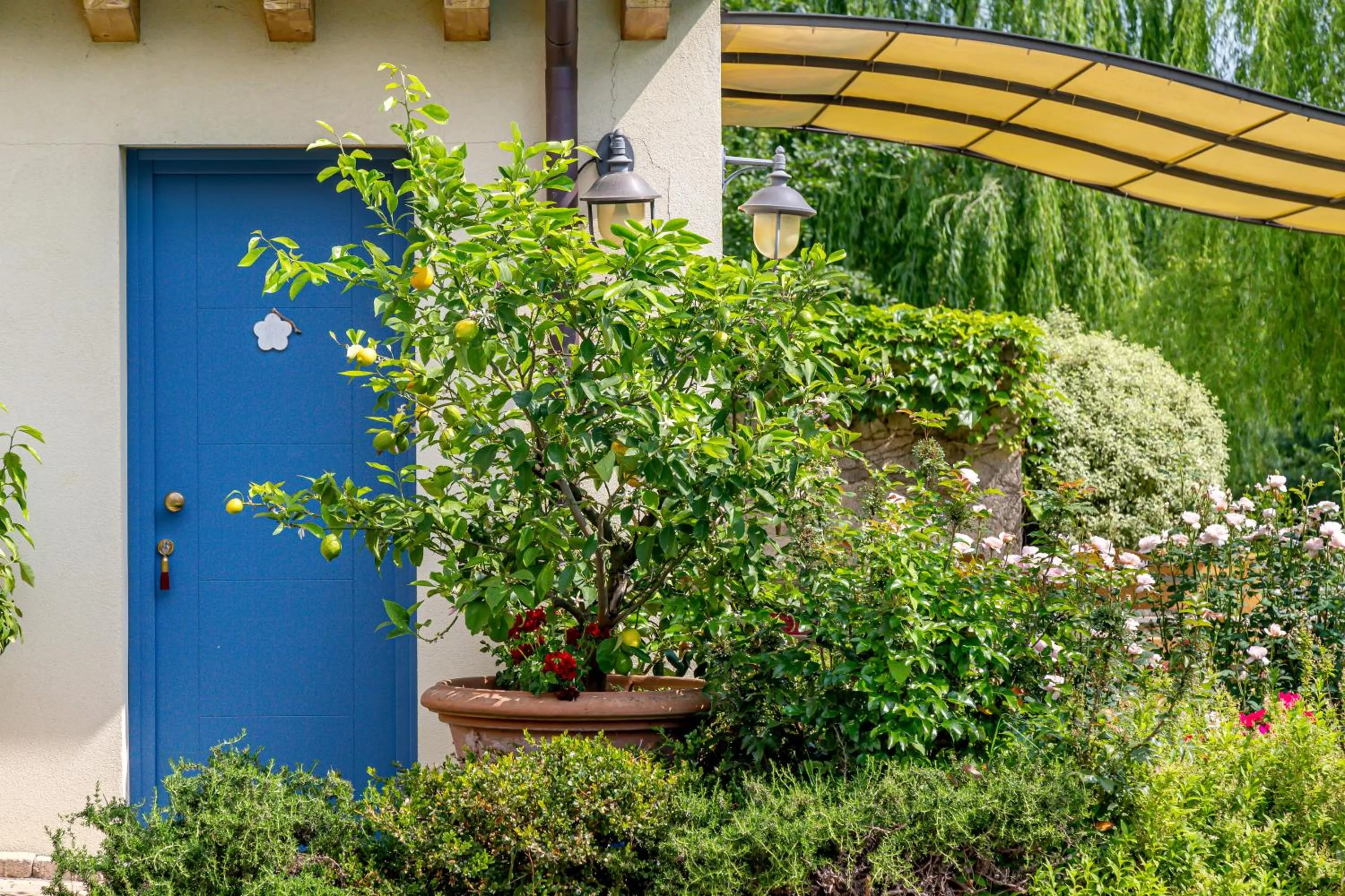 Hotel Calvi-Ristorante Mainor