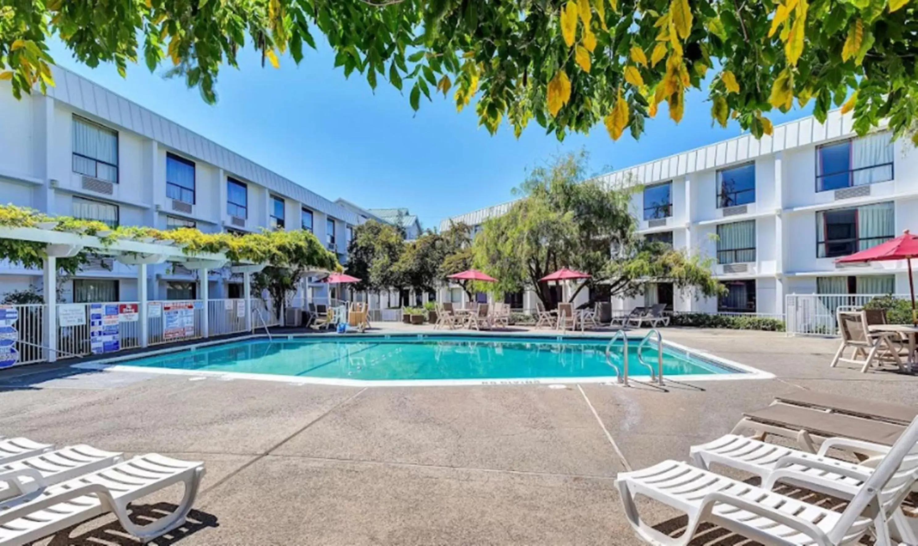 , Swimming Pool in Motel 6-Belmont, CA - San Francisco - Redwood City