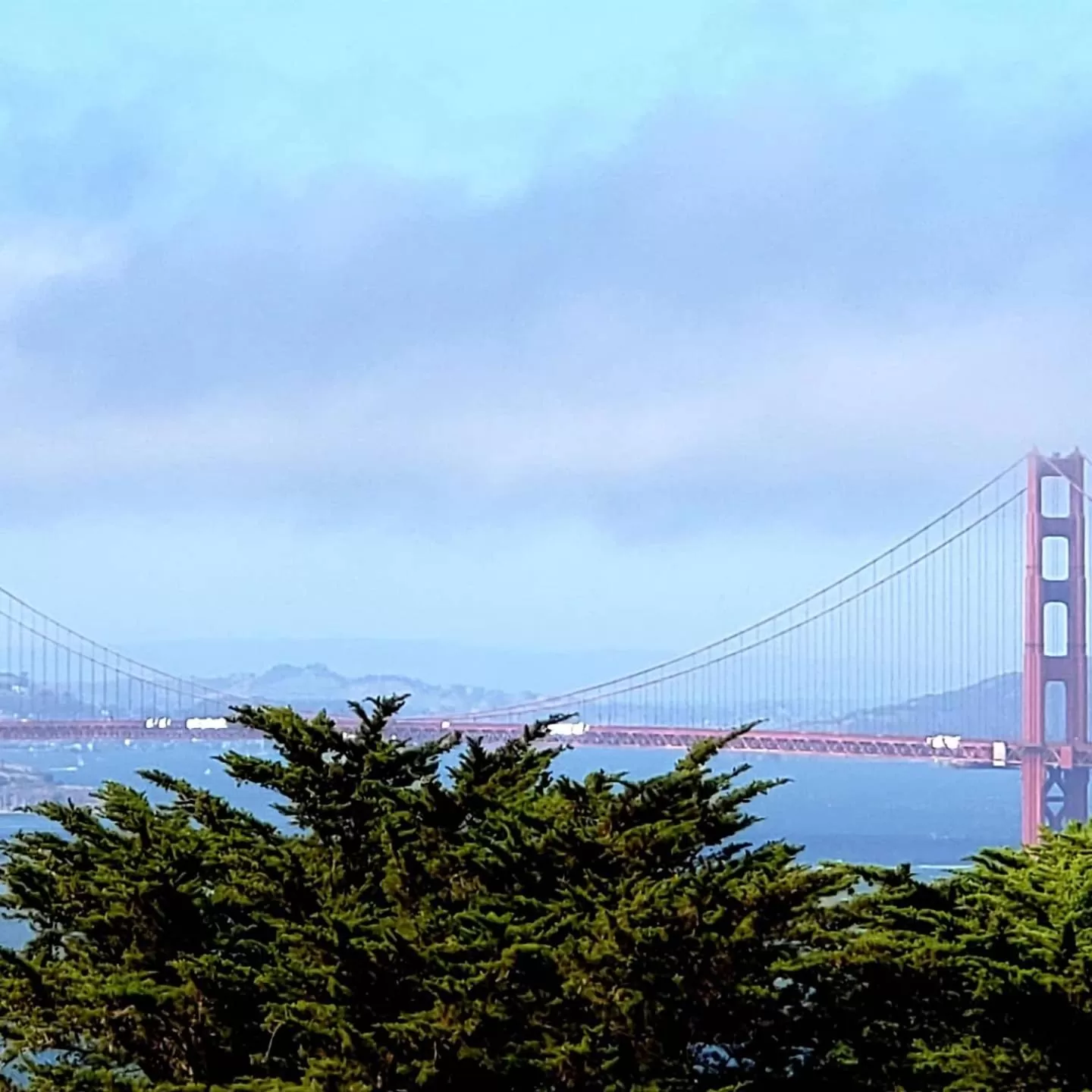 Nearby landmark in Chelsea Inn