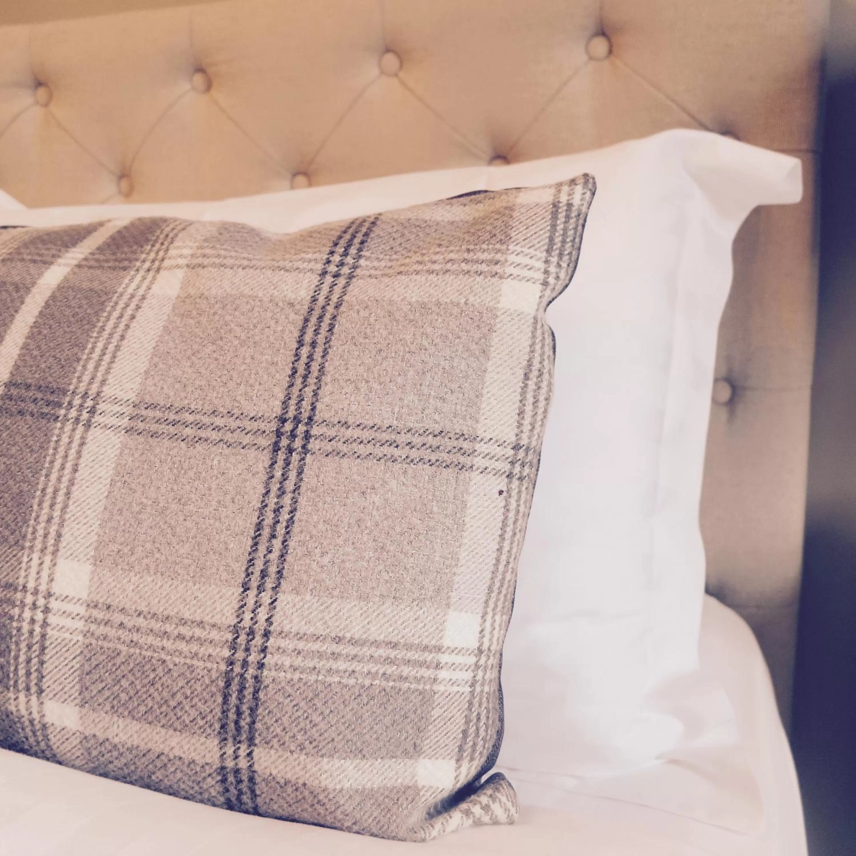 Decorative detail in The Salwey Arms