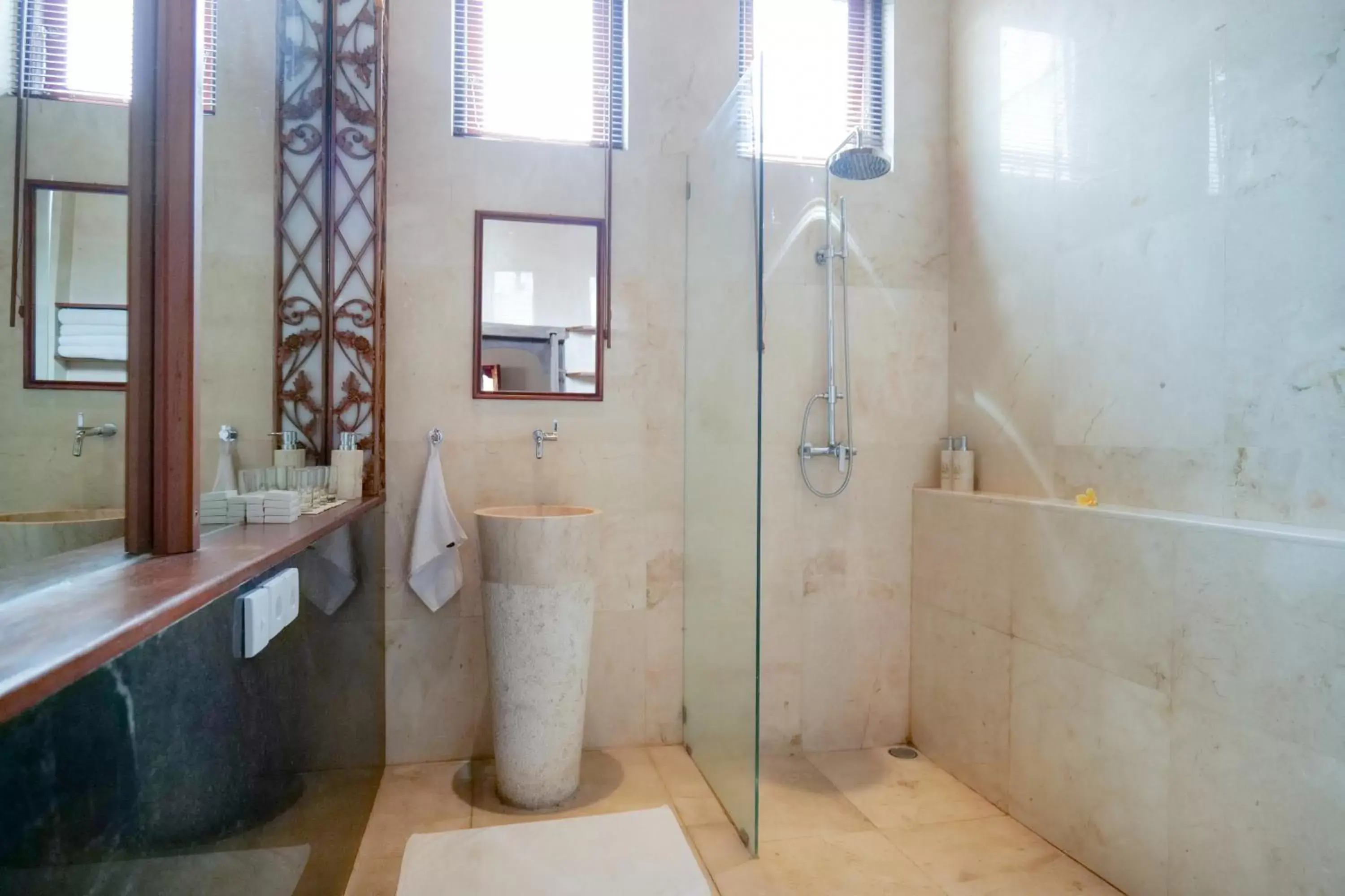 Shower, Bathroom in Gayatri