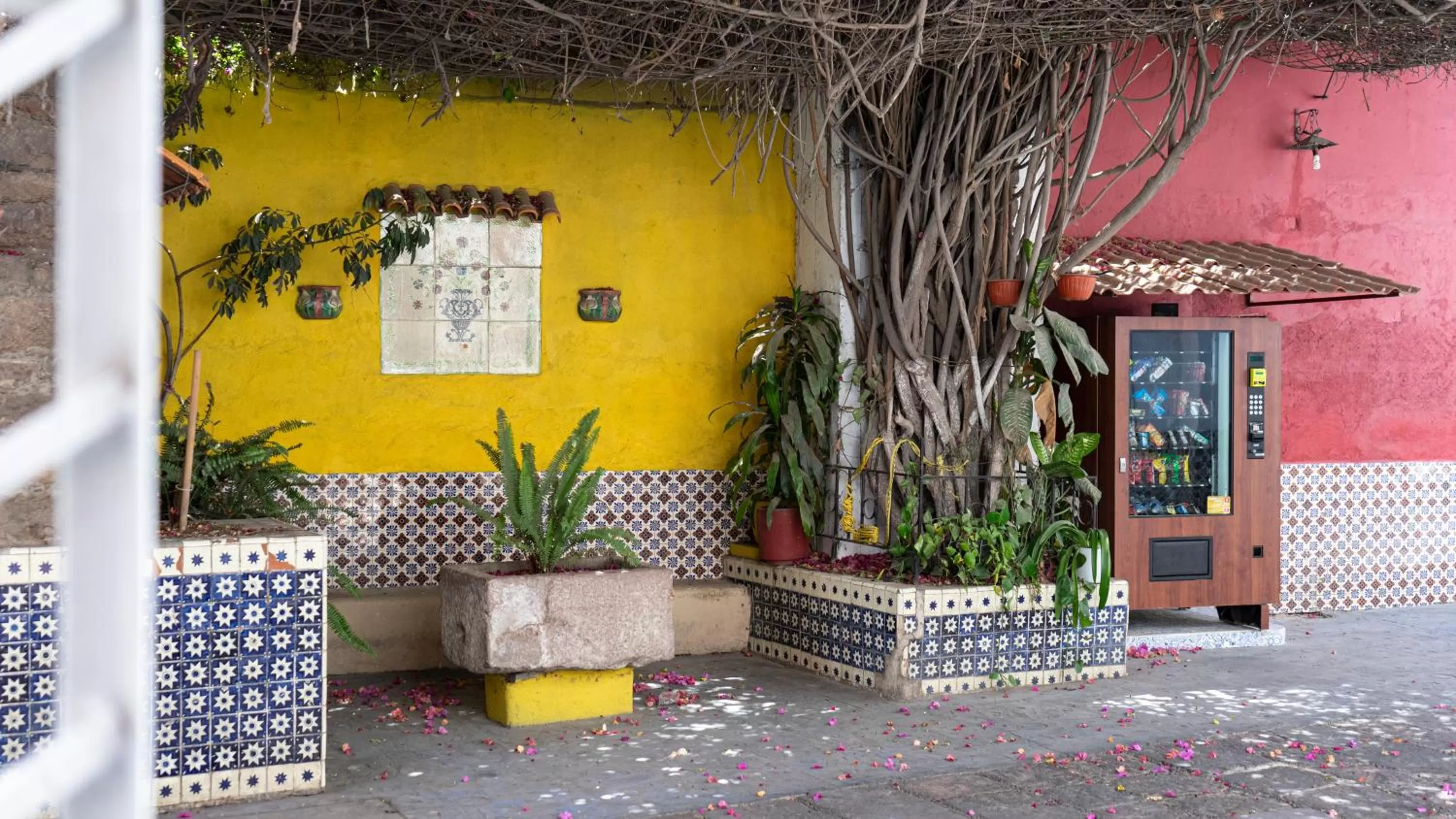 Patio in Hotel Posada Bugambilias