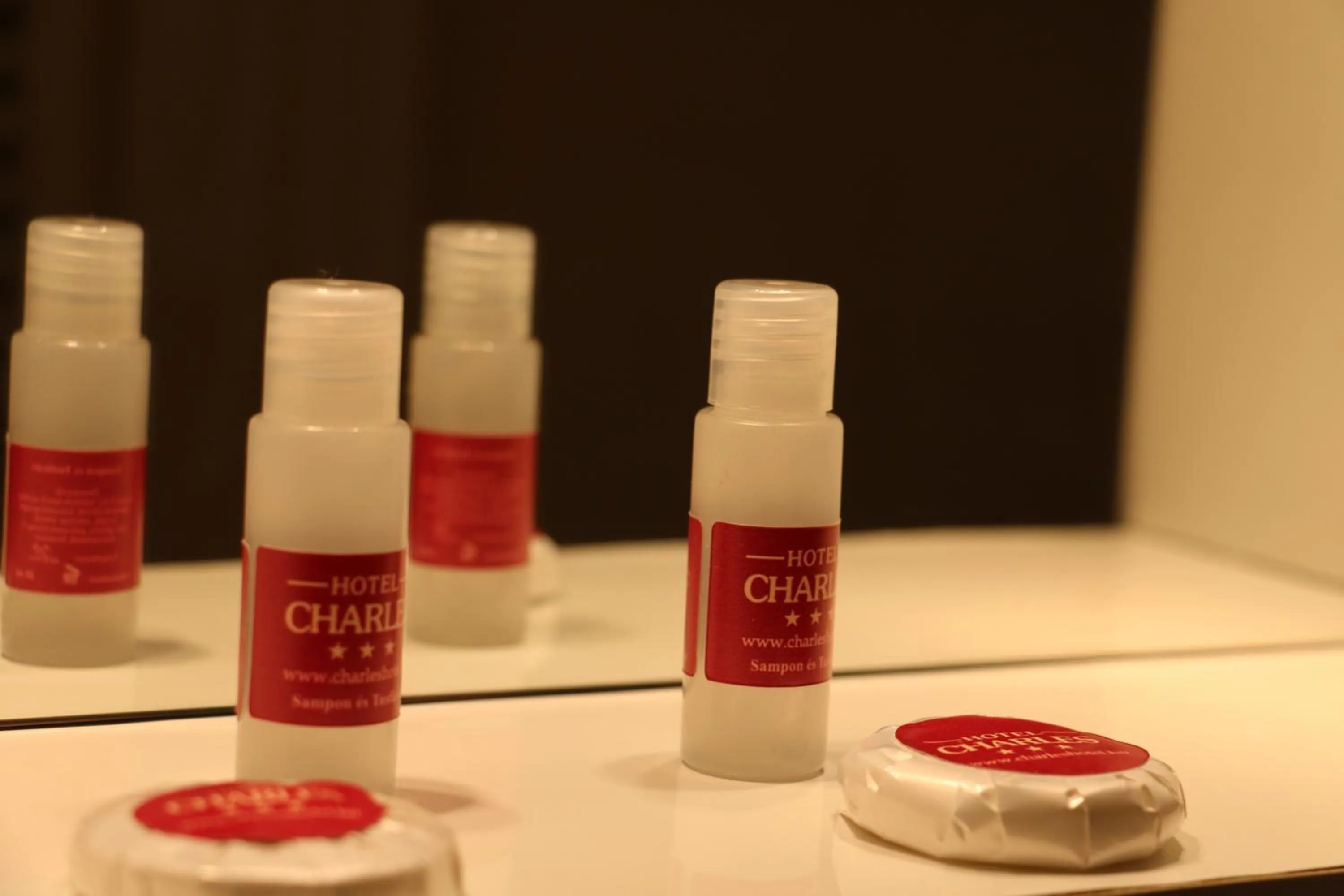 Bathroom in Hotel Charles