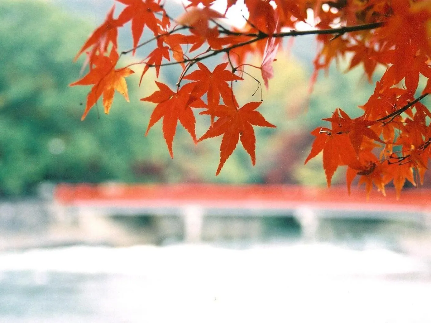 Off site in Hanayashiki Ukifune-en