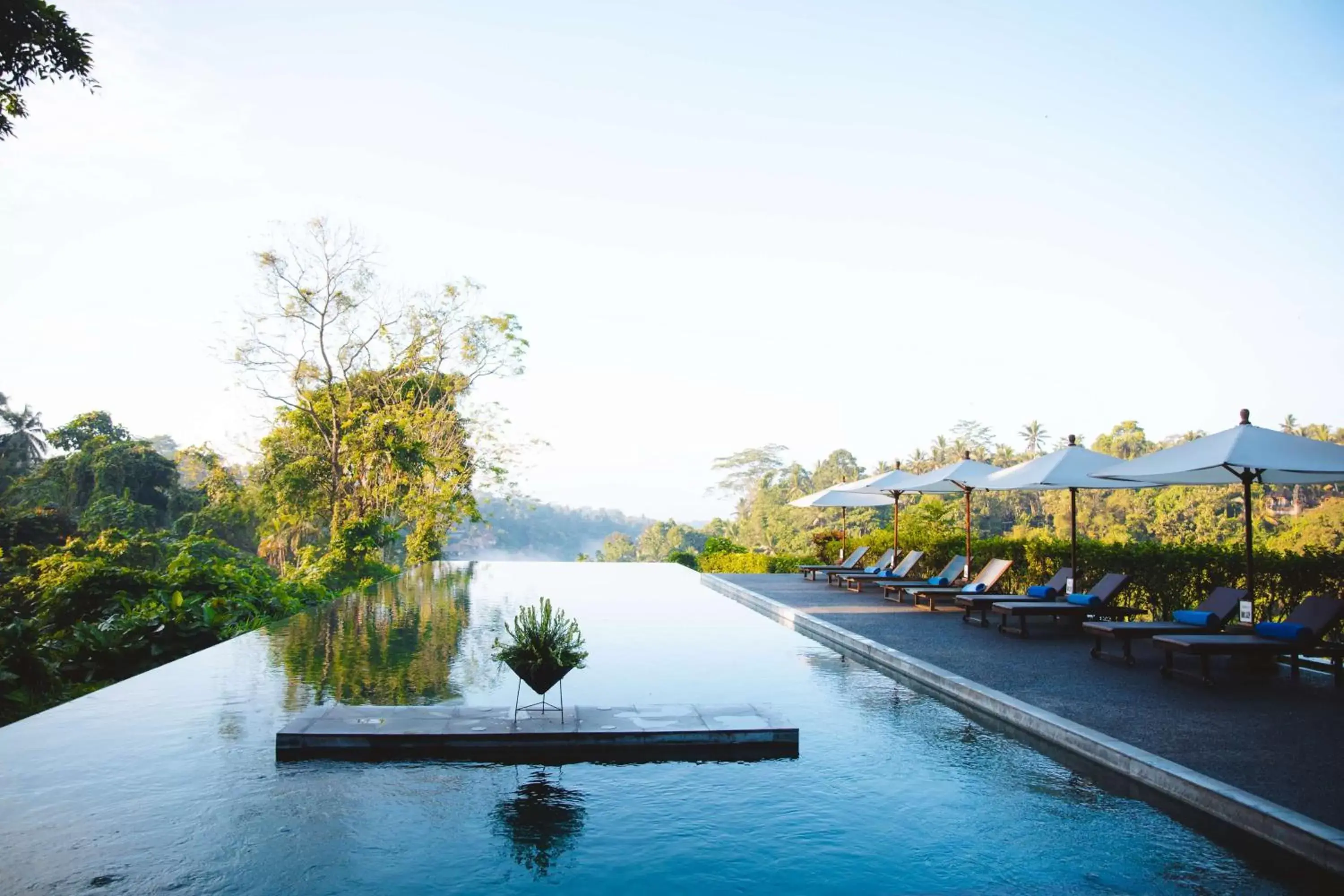 Swimming Pool in Alila Ubud